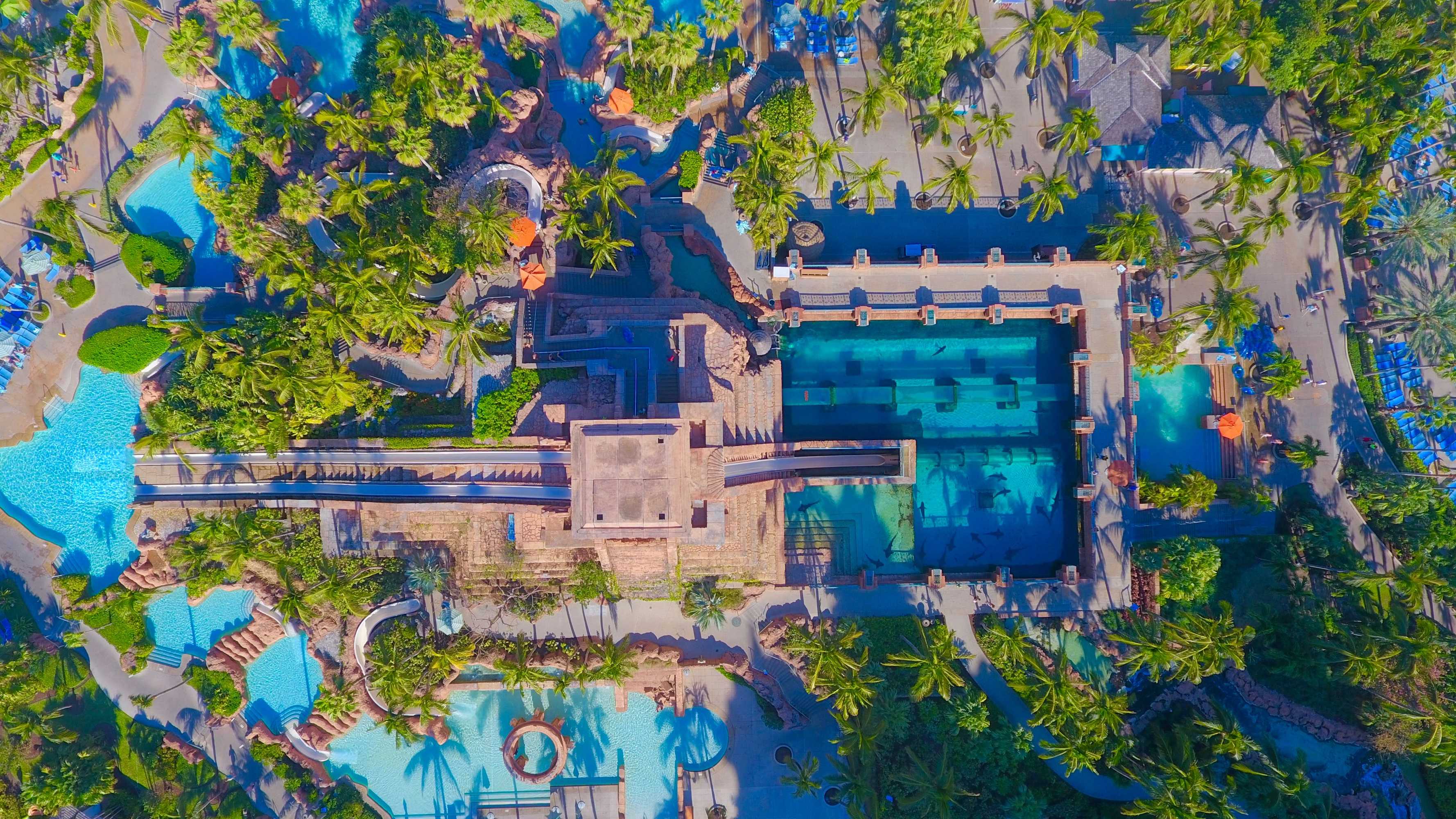Gift card for The Reef at Atlantis Gift card for The Reef at Atlantis