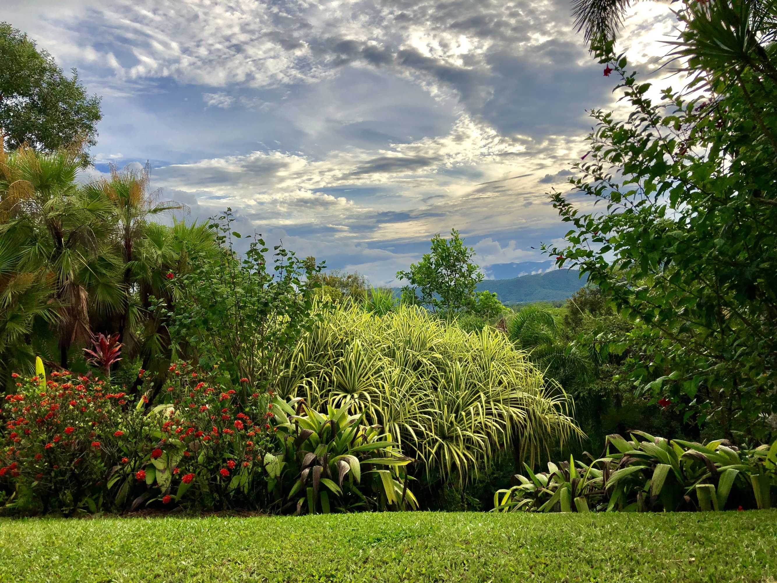 Gift card for Daintree Manor Bed & Breakfast Gift card for Daintree Manor Bed & Breakfast