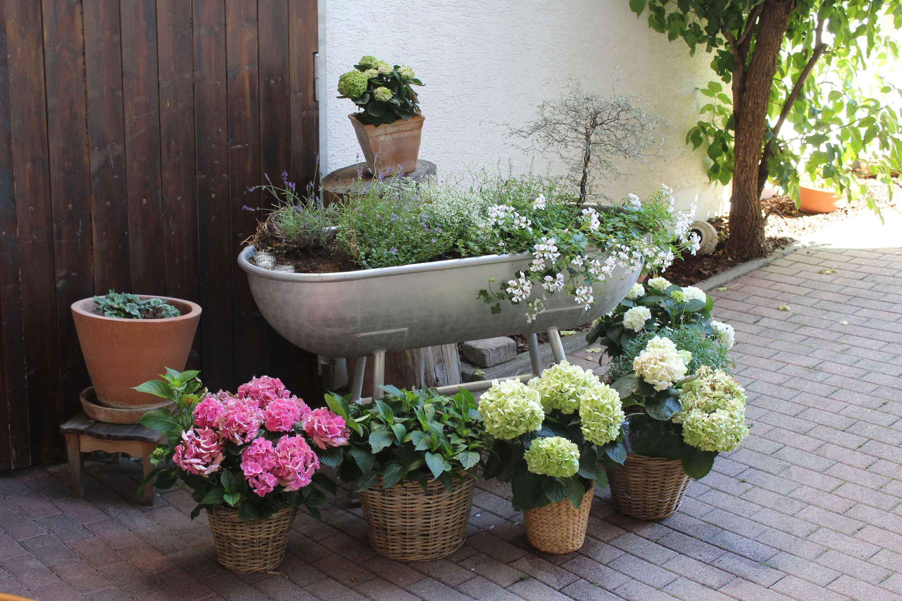 Gift card for Gasthof Und Pension Zum Löwen