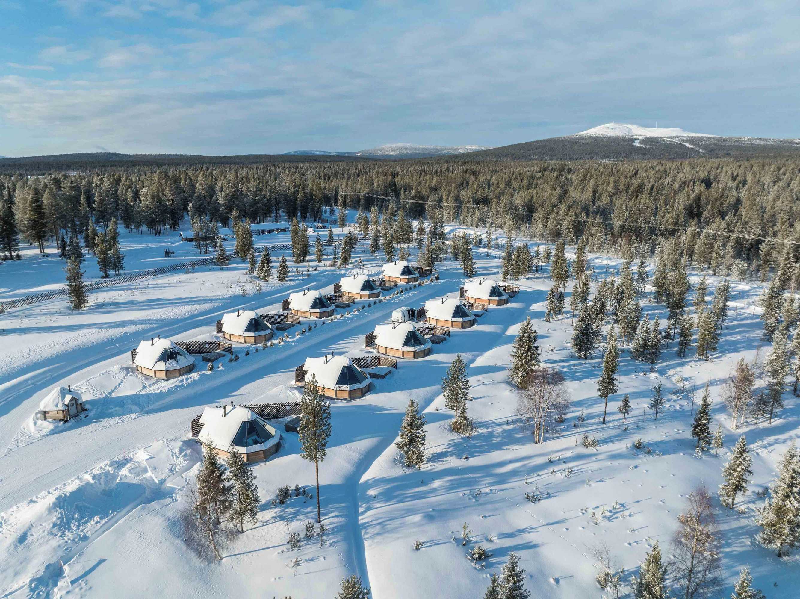 Gift card for Reindeer Manor Levi Gift card for Reindeer Manor Levi