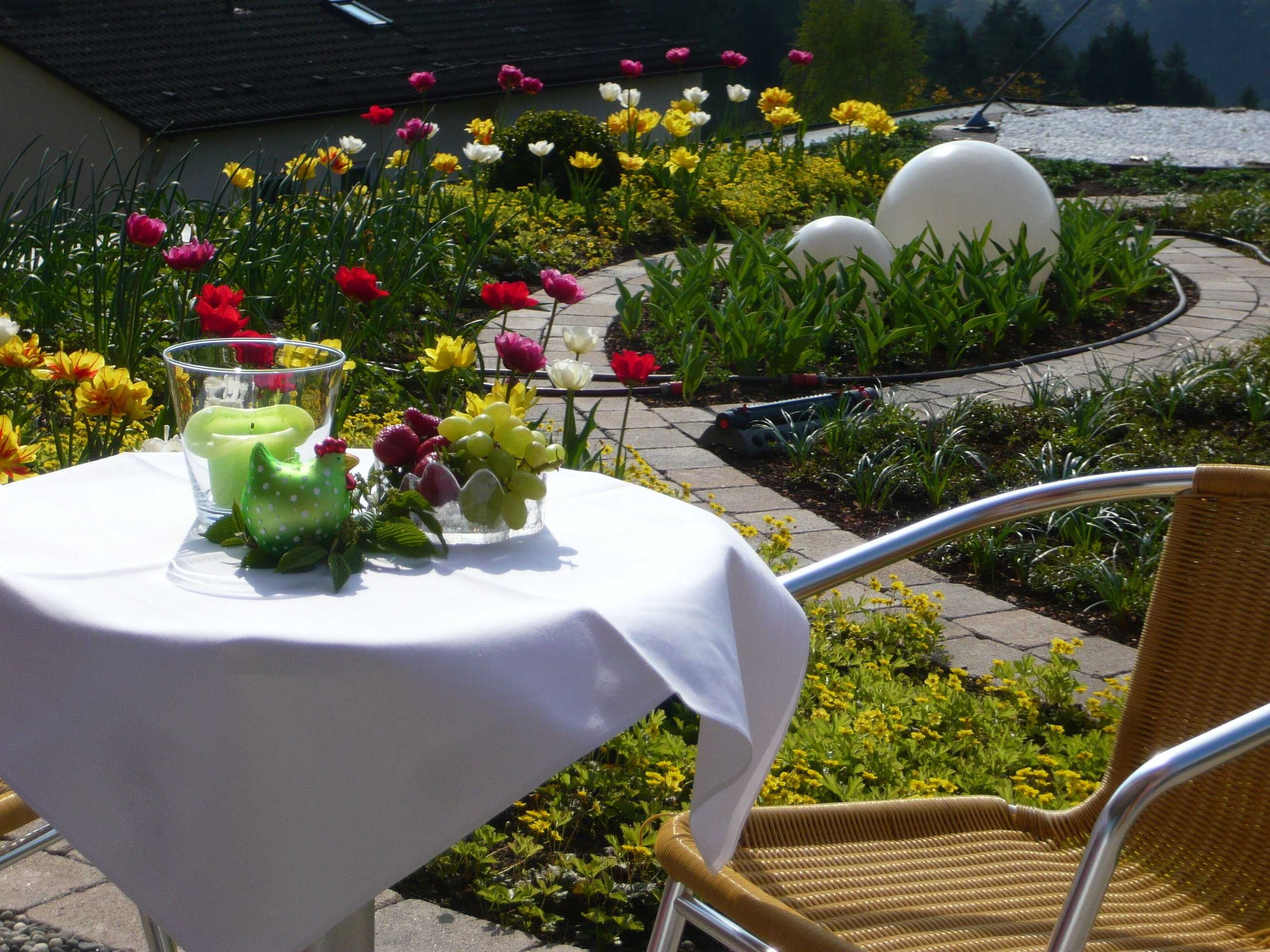 Gift card for Aparthotel Hochwald Gift card for Aparthotel Hochwald