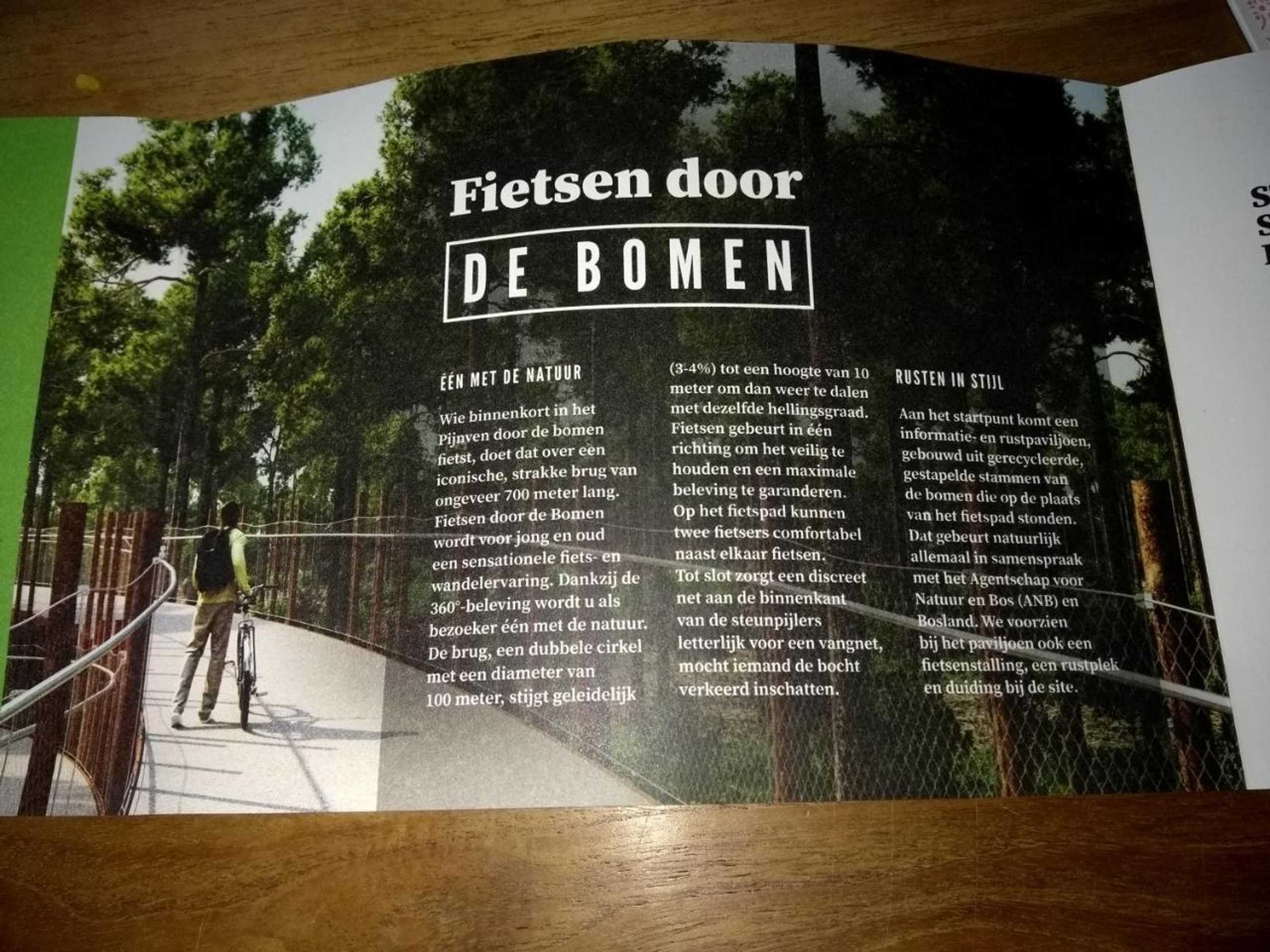 Gift card for B&b Dream On Wheels