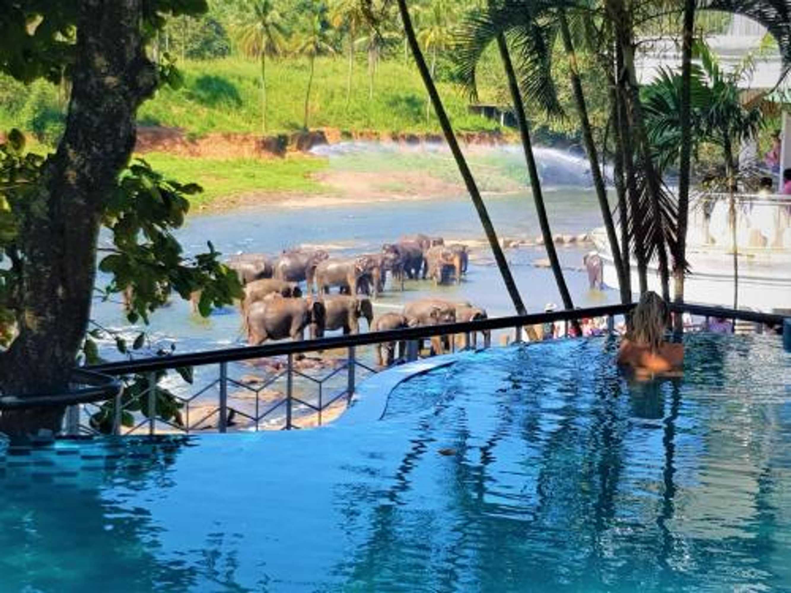 Gift card for Hotel Elephant Park - New Deal! Half Off Airport Pickups Available Gift card for Hotel Elephant Park - New Deal! Half Off Airport Pickups Available