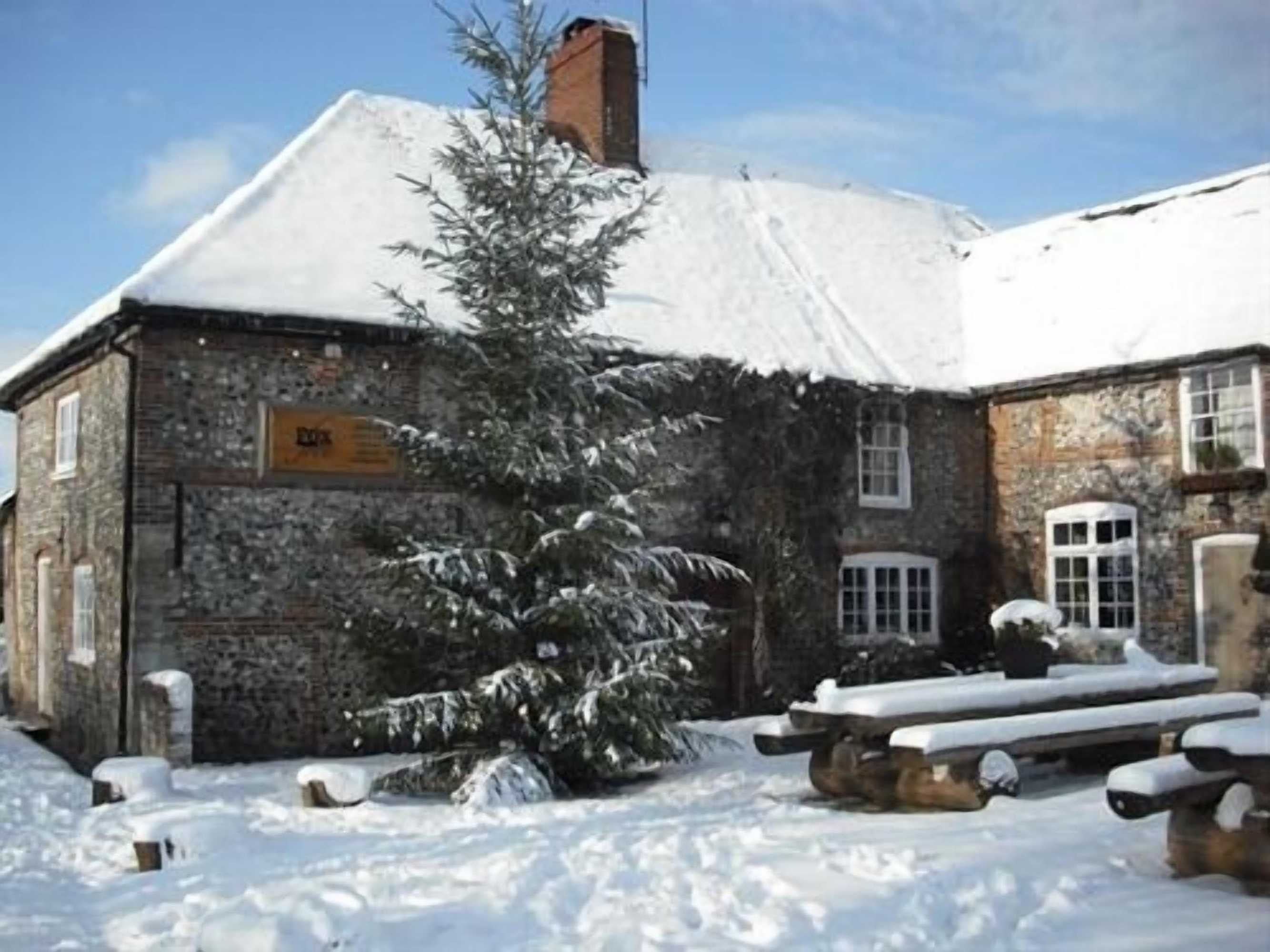 Gift card for The Fox Goes Free Gift card for The Fox Goes Free