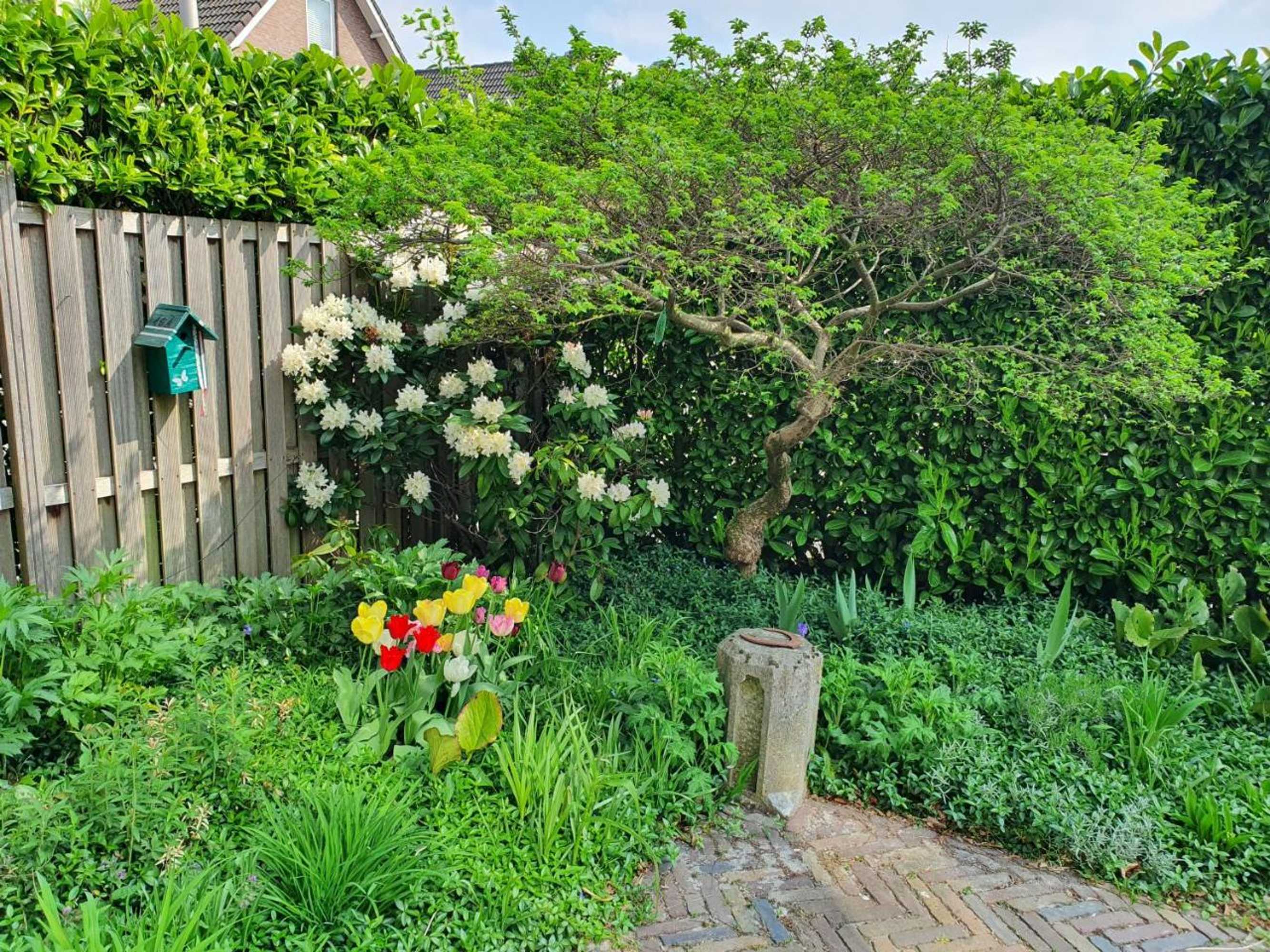 Gift card for B&b de Loeff