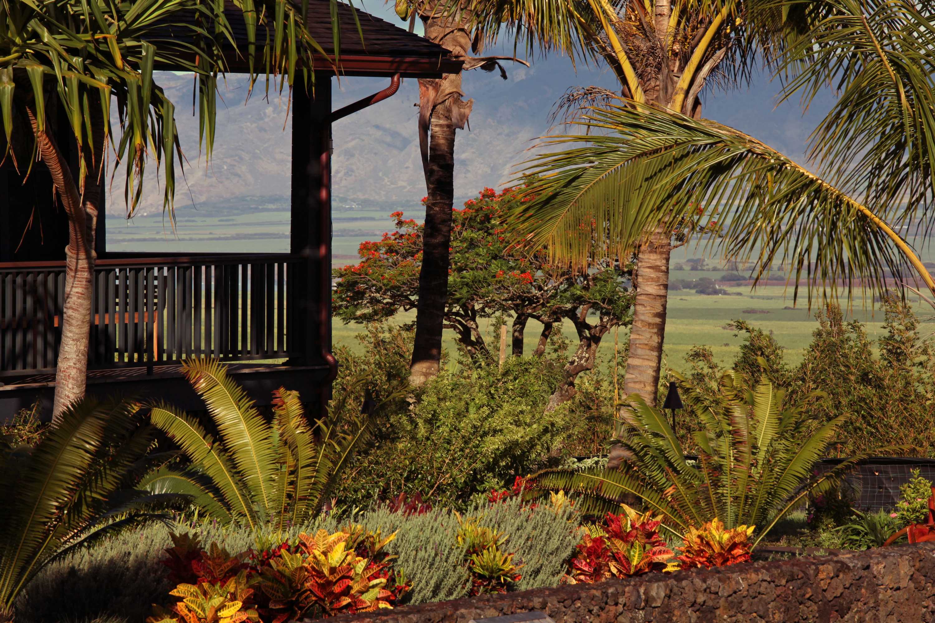 Gift card for Lumeria Maui Educational Retreat Center