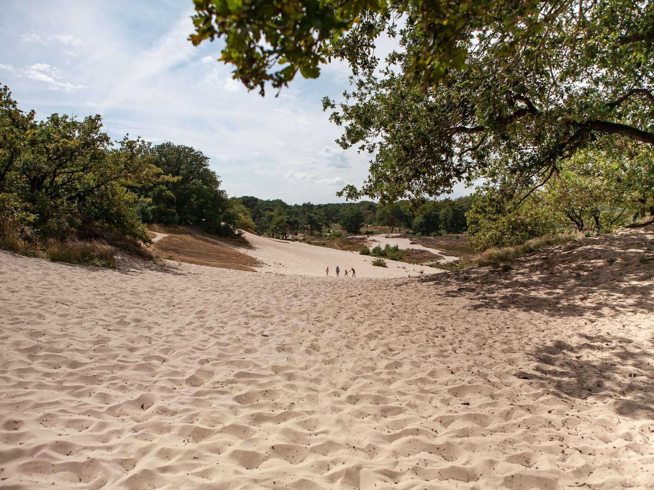 Gift card for Villa in Sandberghe With Sauna And Comfort