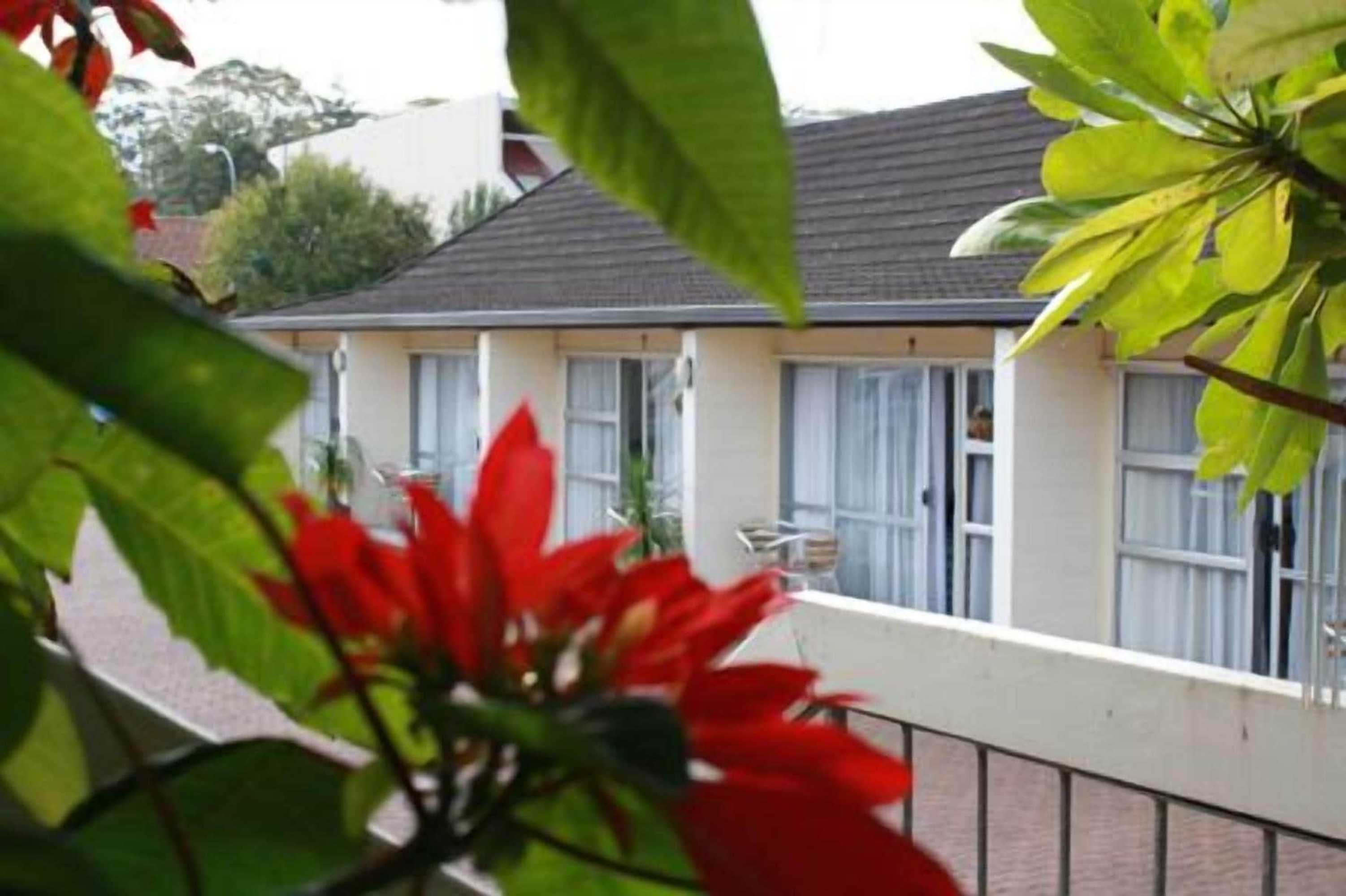 Gift card for Kerikeri Court Motel Gift card for Kerikeri Court Motel