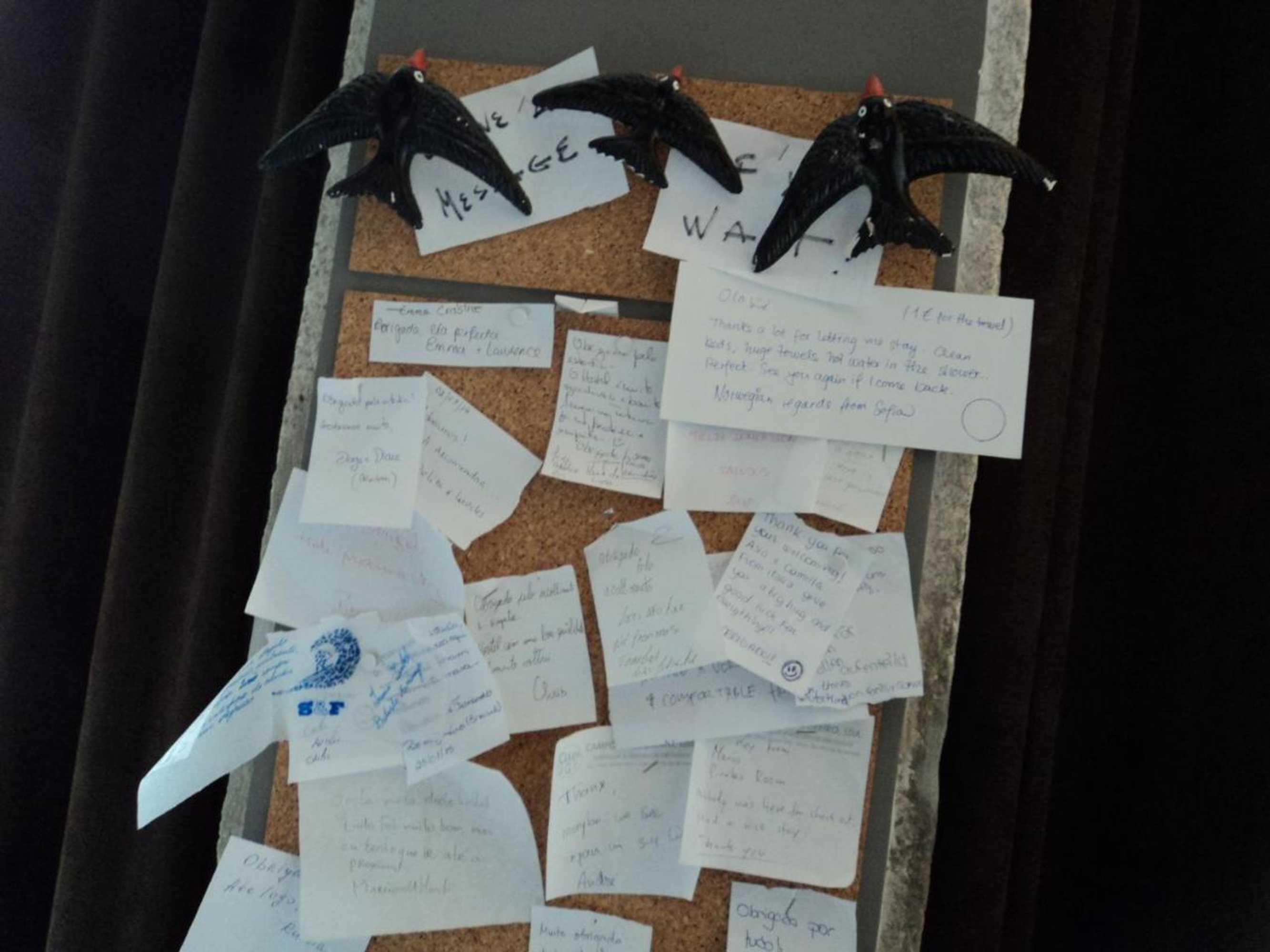 Gift card for Sardines And Friends Hostel