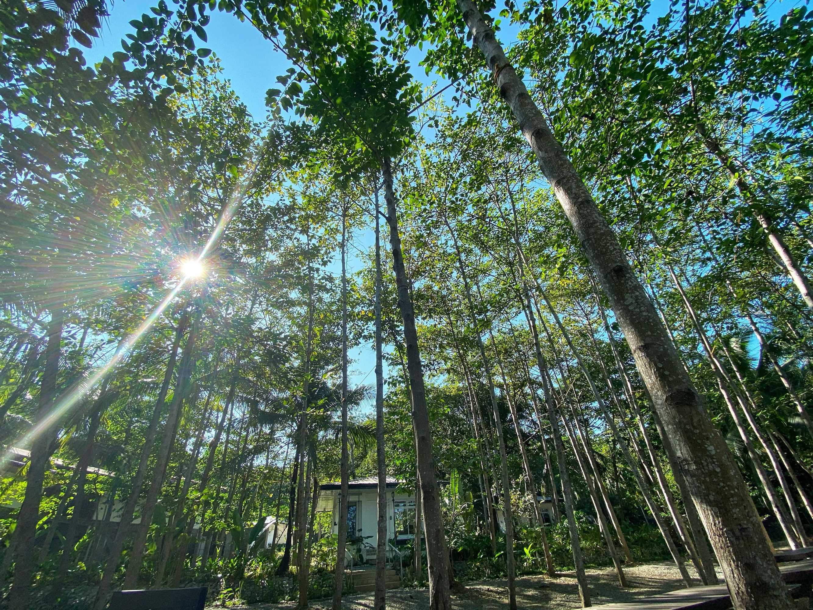 Gift card for Hiraya Wellness Resort And Ecopark
