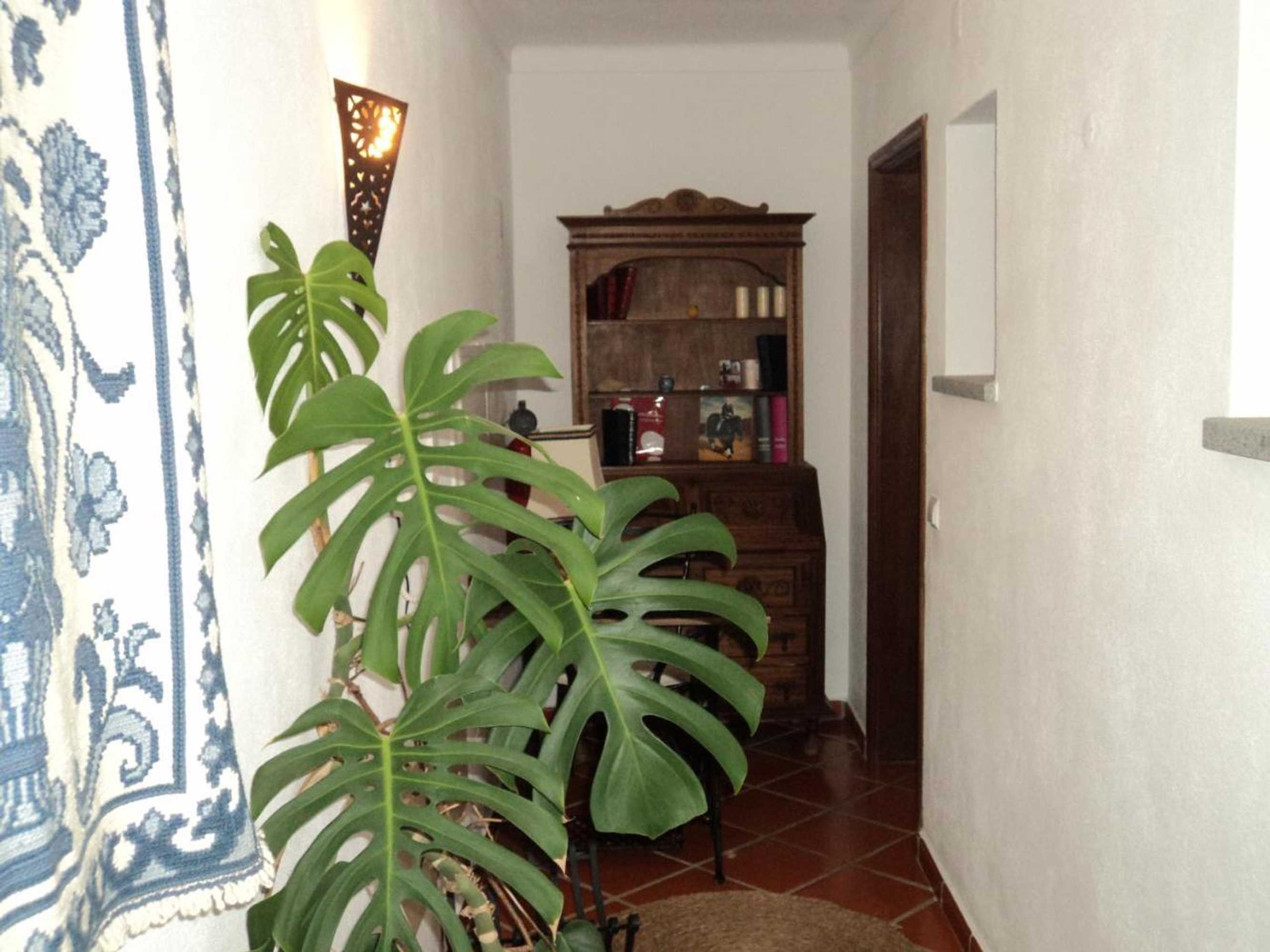 Gift card for Alojamento Pero Rodrigues