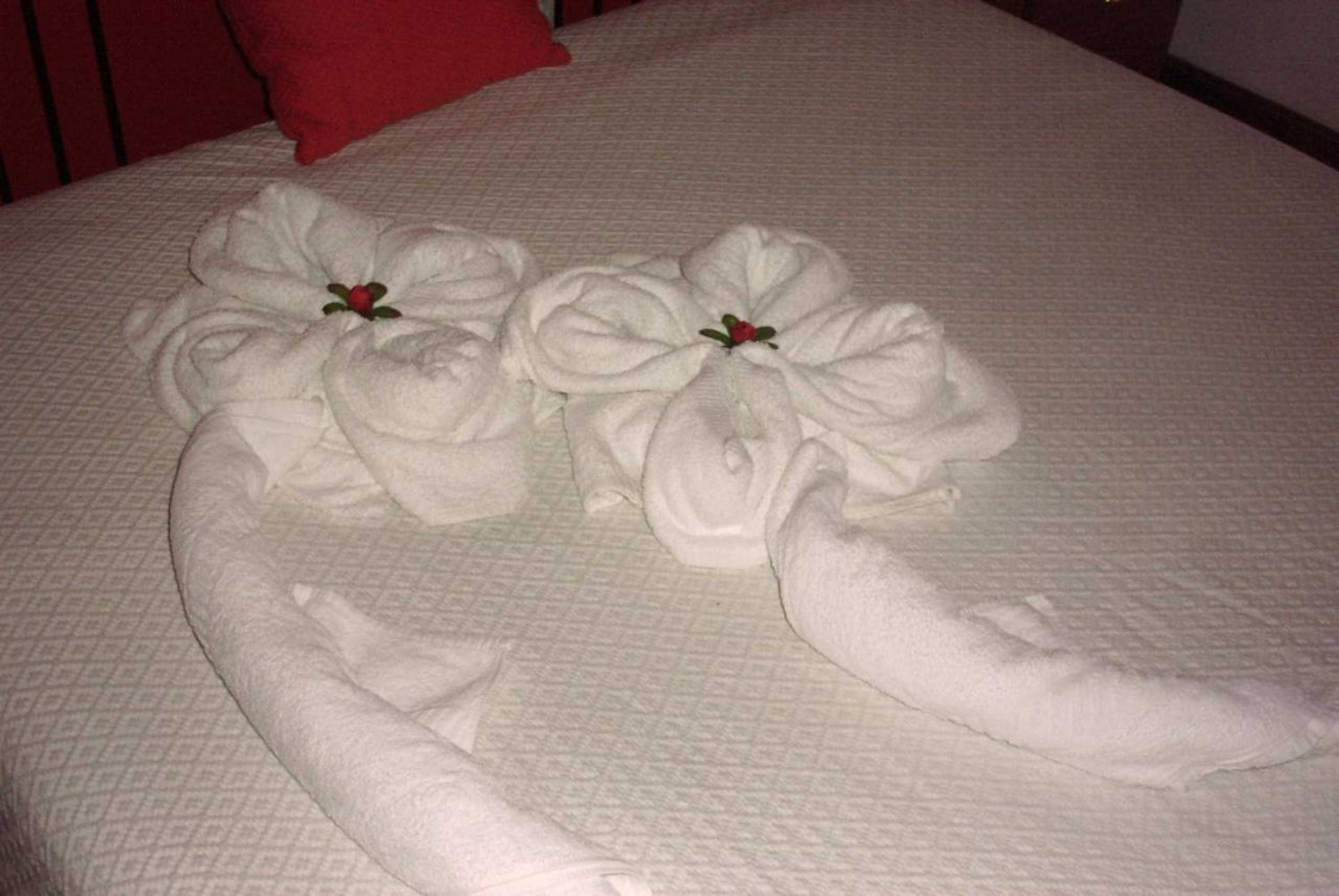 Gift card for Seia Alojamentos Leitao