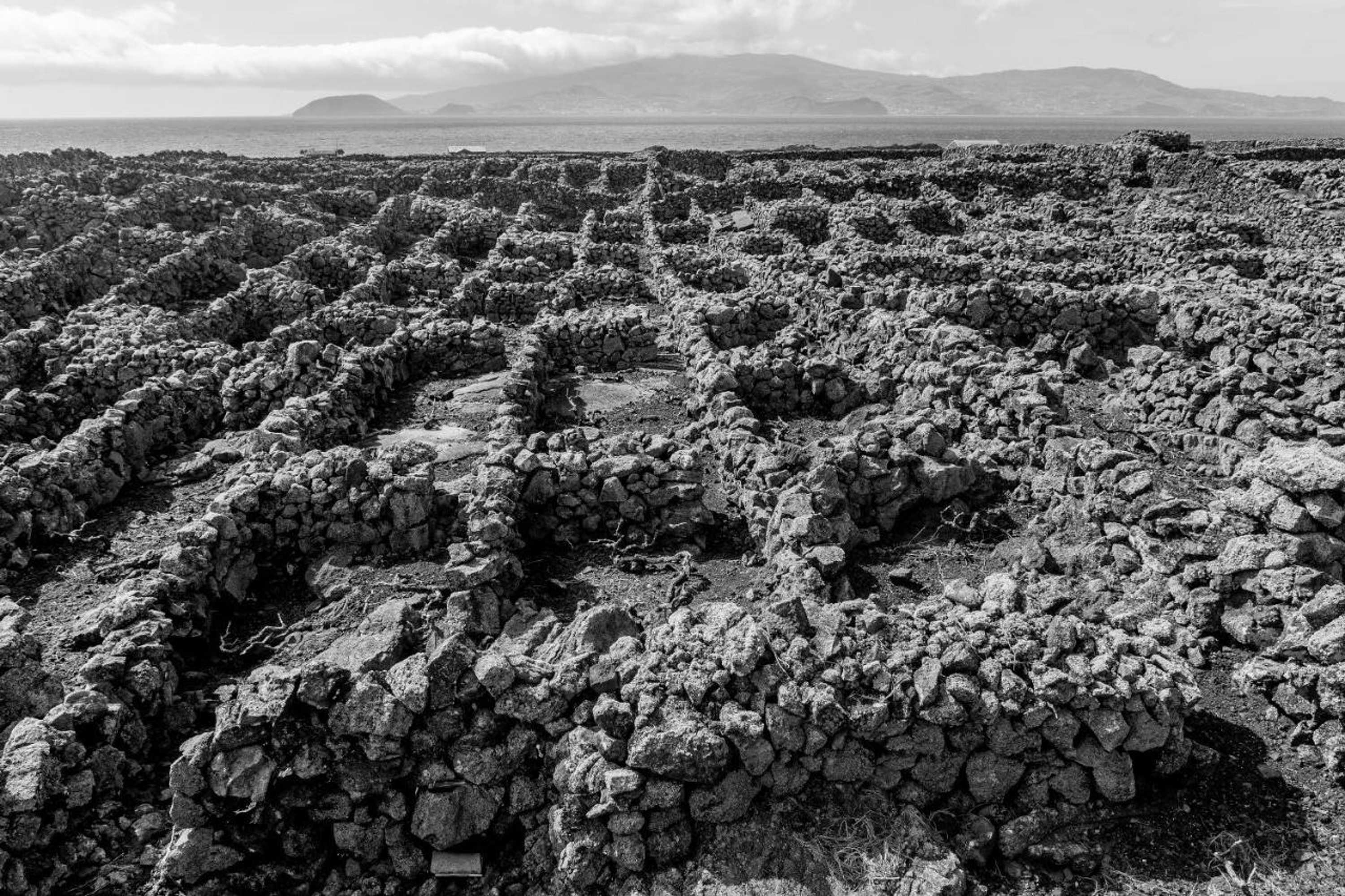 Gift card for Vila Barca