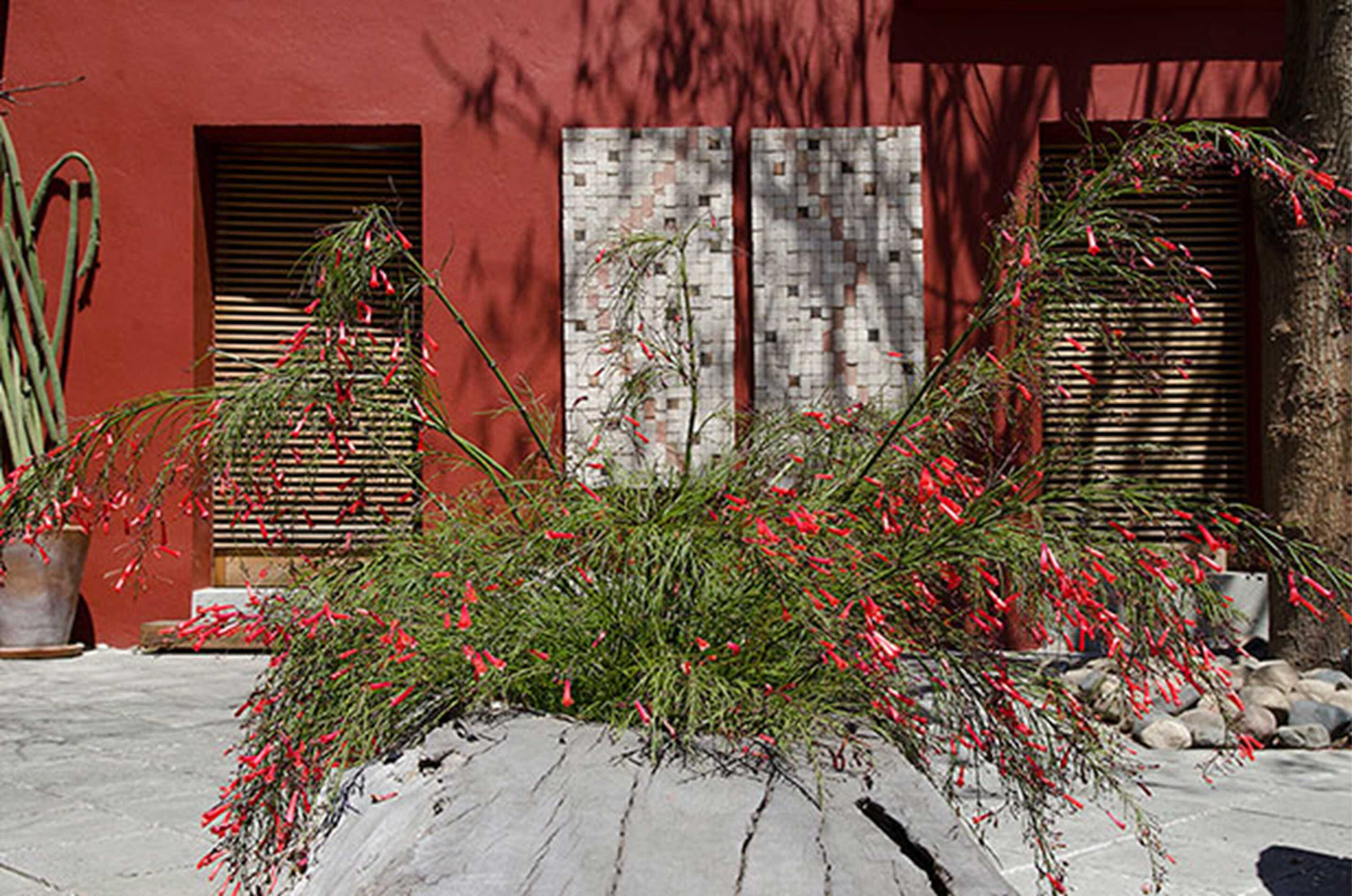 Gift card for La Casona de Tita Oaxaca Gift card for La Casona de Tita Oaxaca