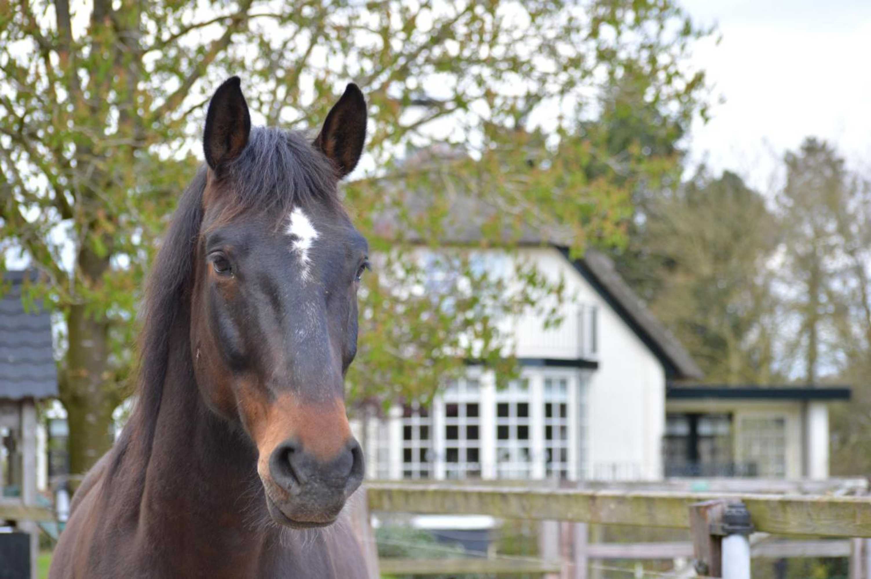 Gift card for Veld en Bosch