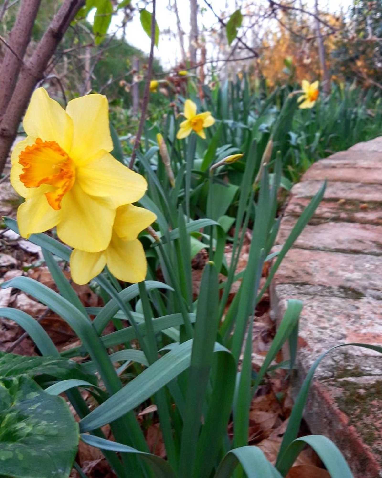 Gift card for Locanda Donna Laura