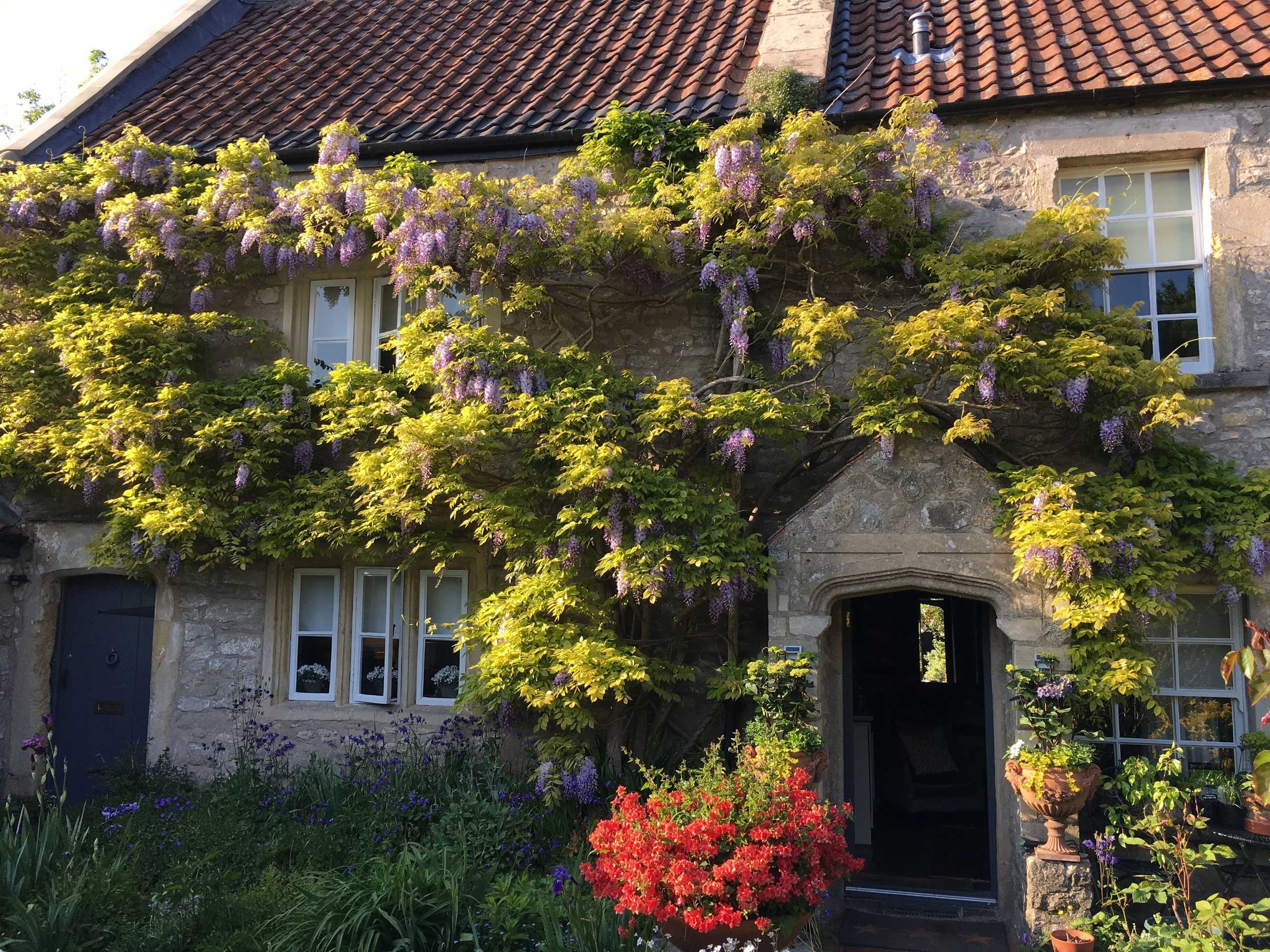 Gift card for Maplestone Hall