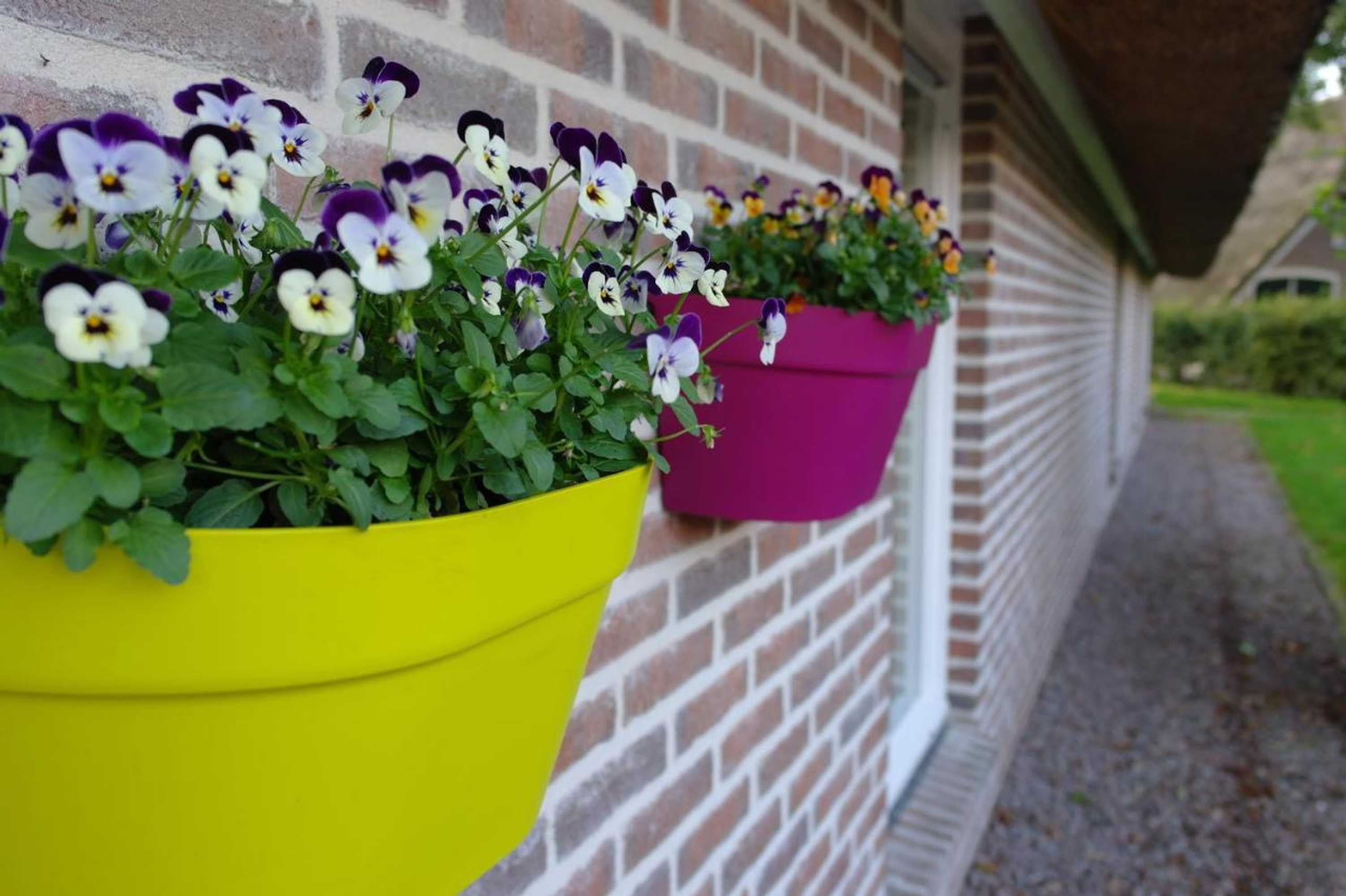 Gift card for The4seasons