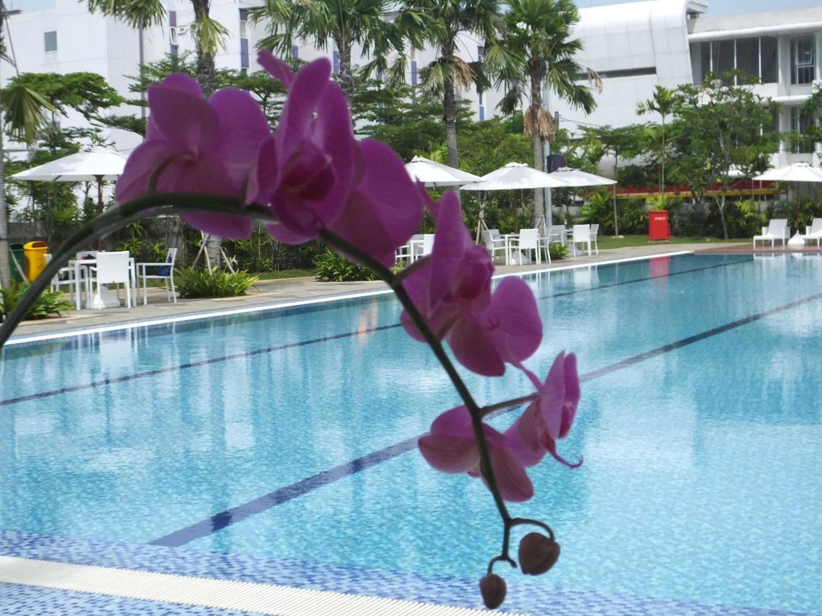 Gift card for Nunia Inn Bandara Gift card for Nunia Inn Bandara