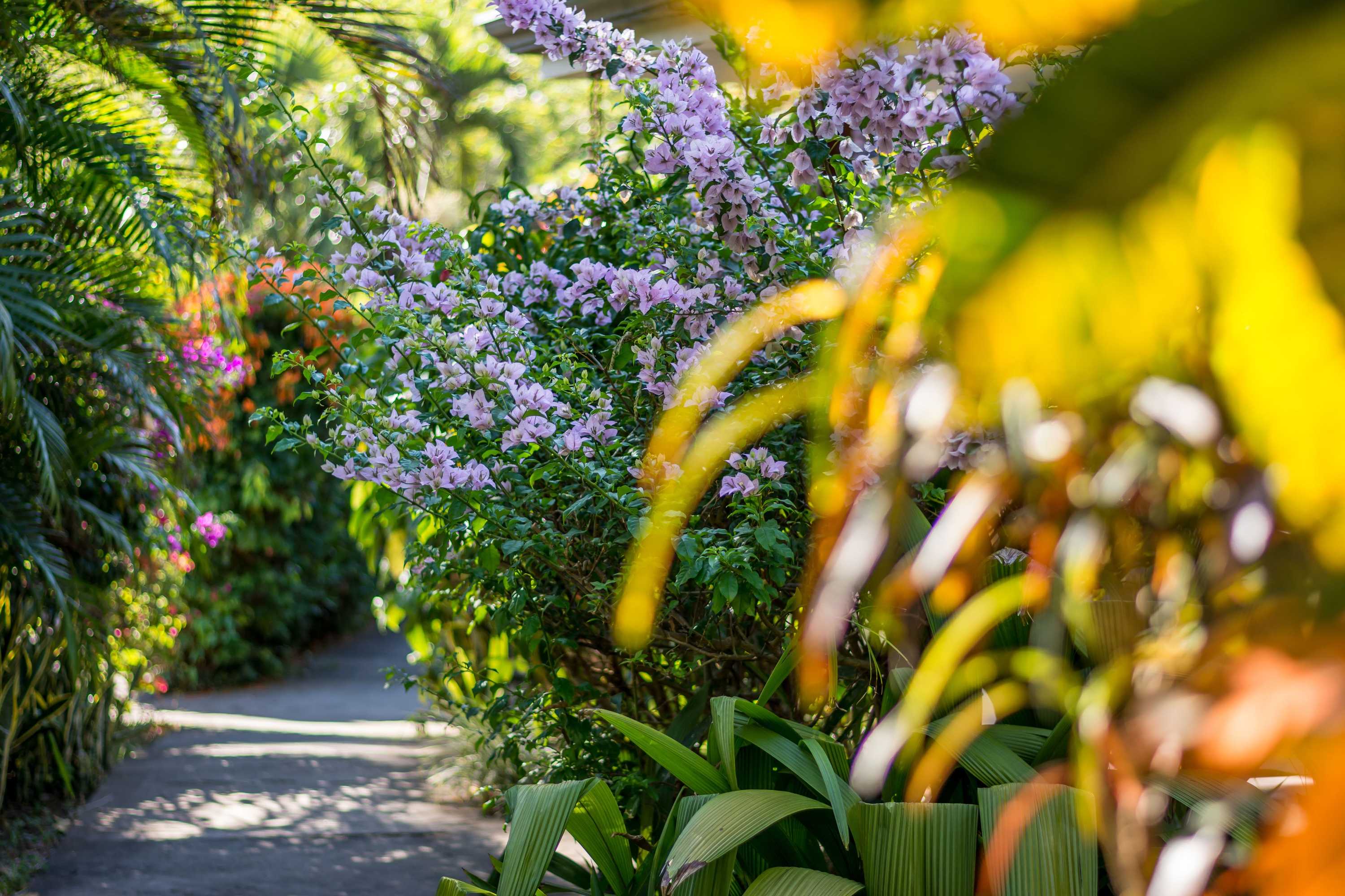 Gift card for Hotel Colinas Del Sol