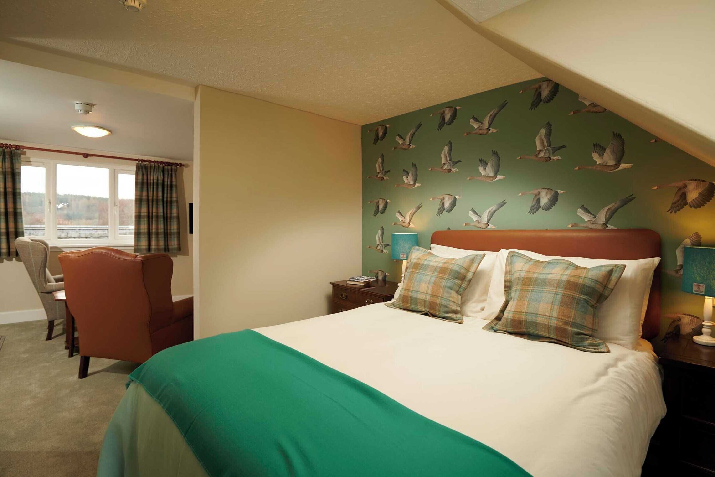 Gift card for Downright Gabbler