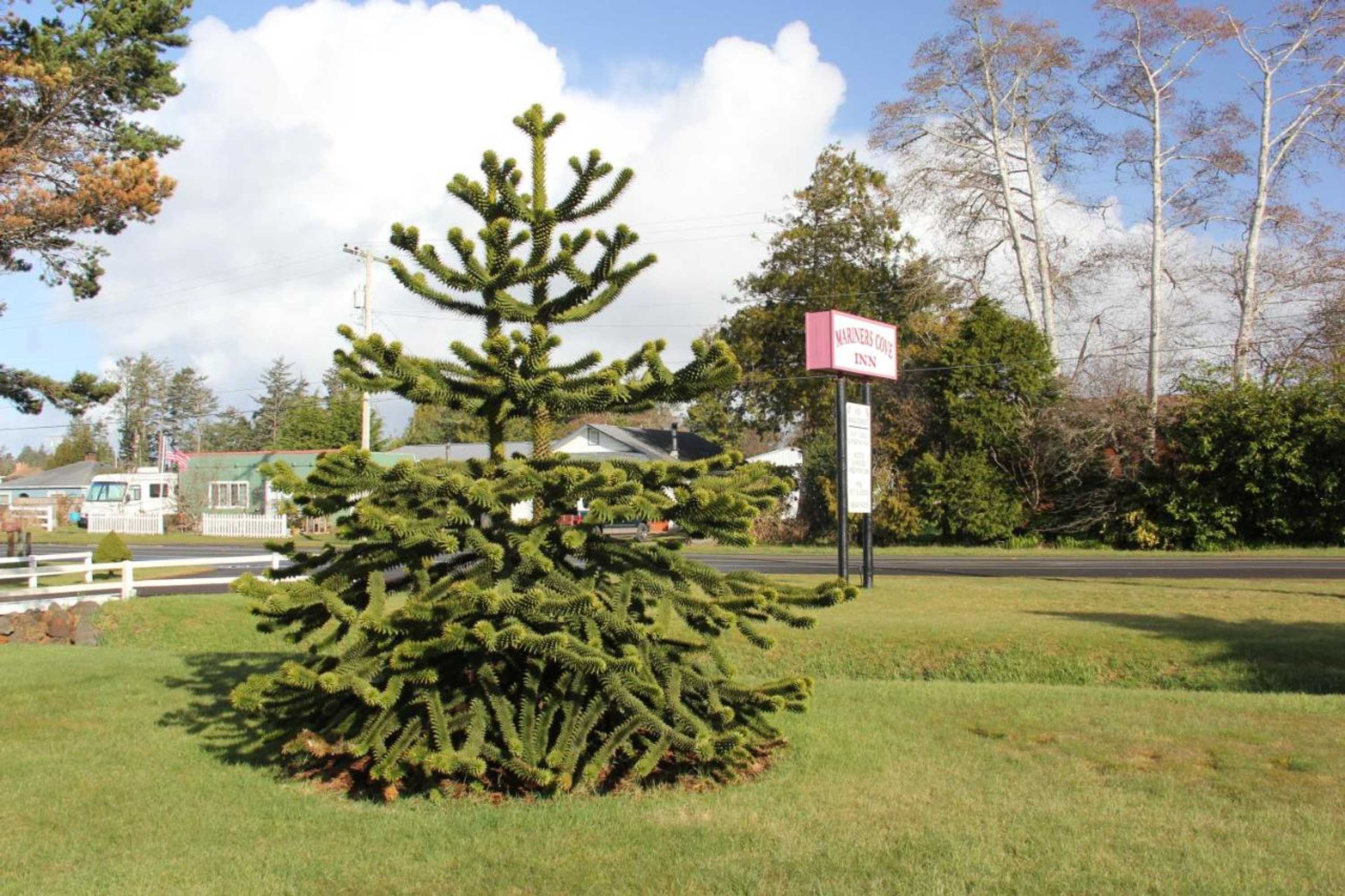 Gift card for Mariners Cove Inn