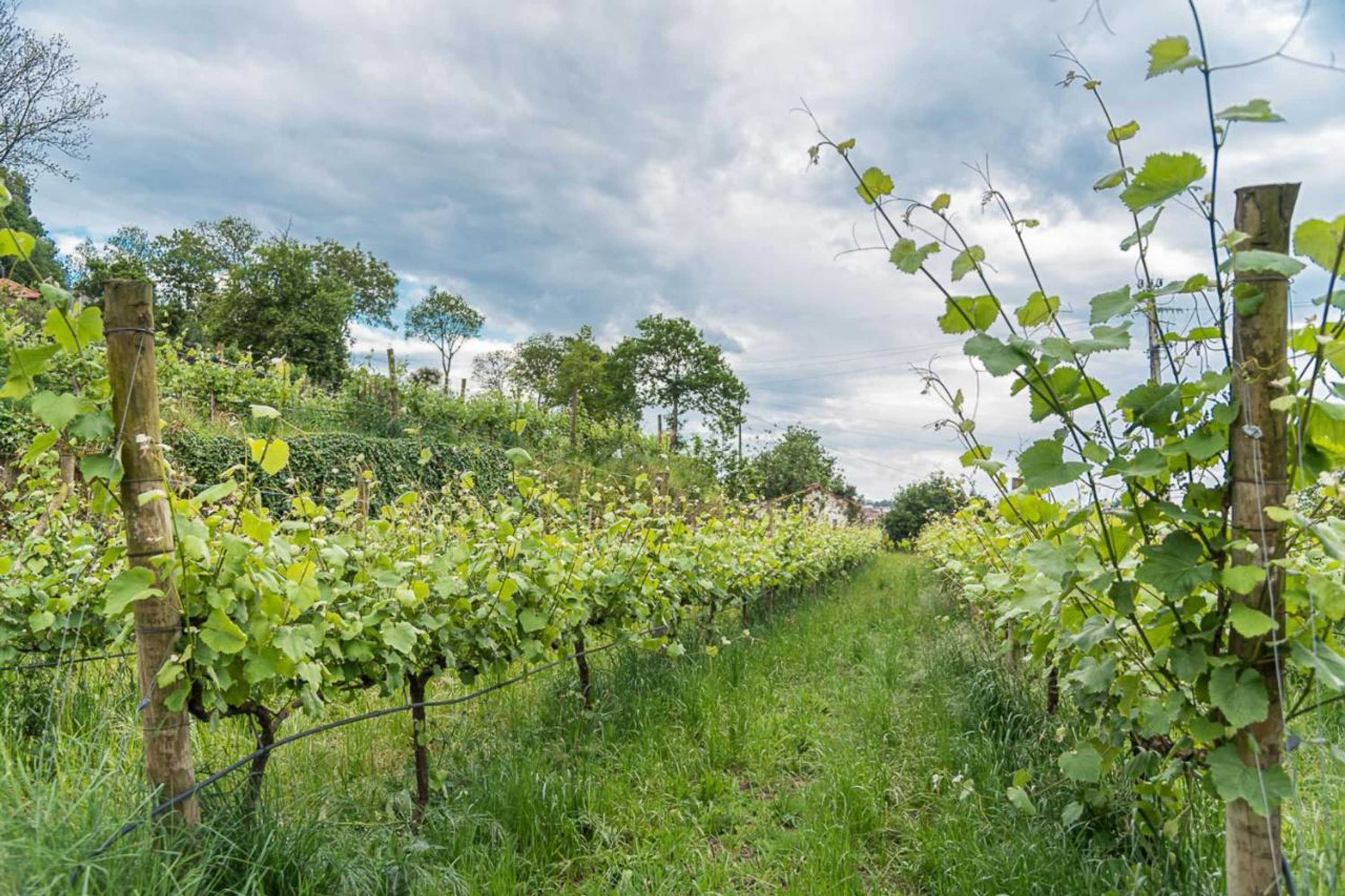 Gift card for Quinta Das Piramides