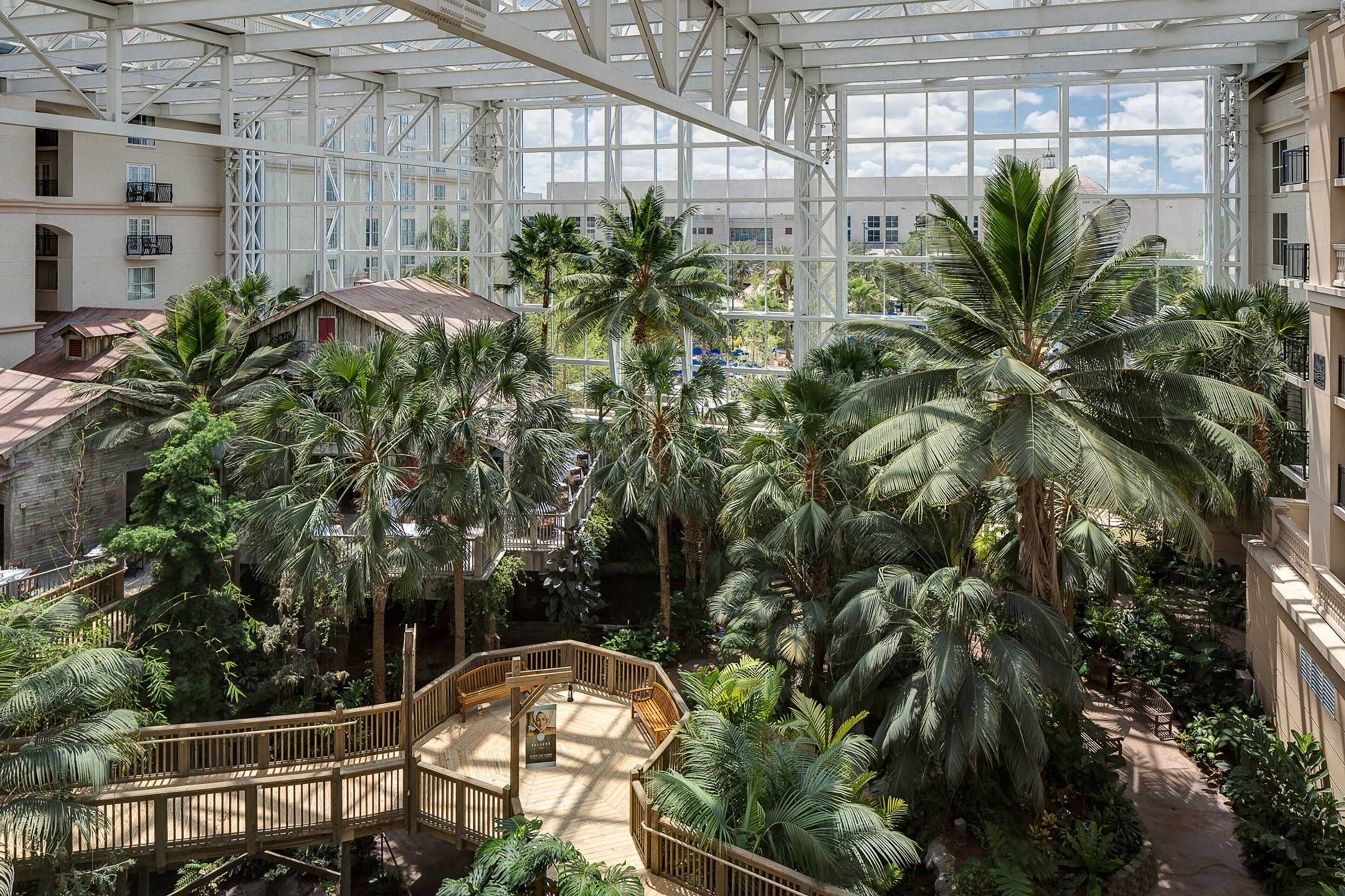 Gift card for Gaylord Palms Resort & Convention Center