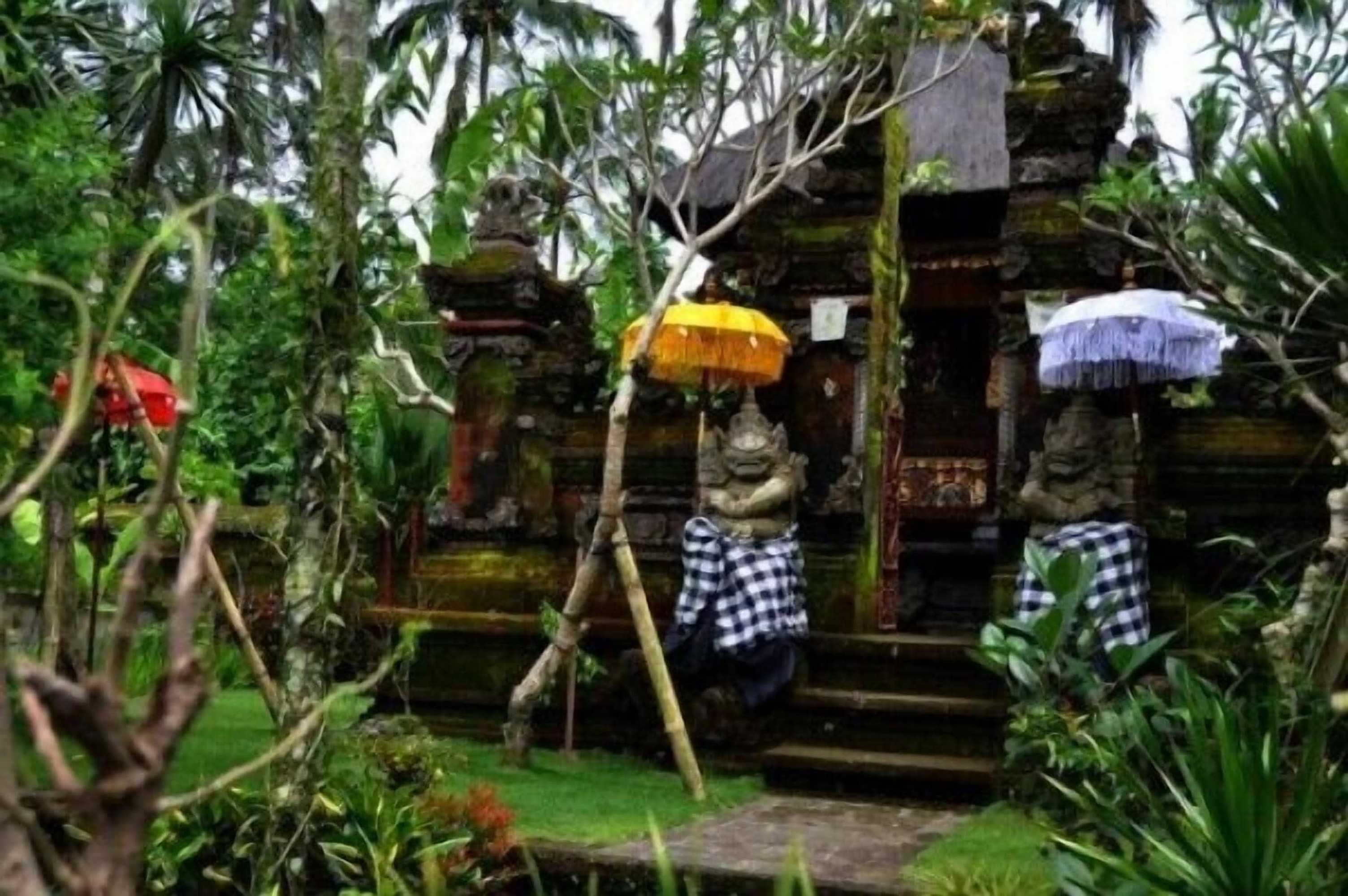 Gift card for Rumah Desa