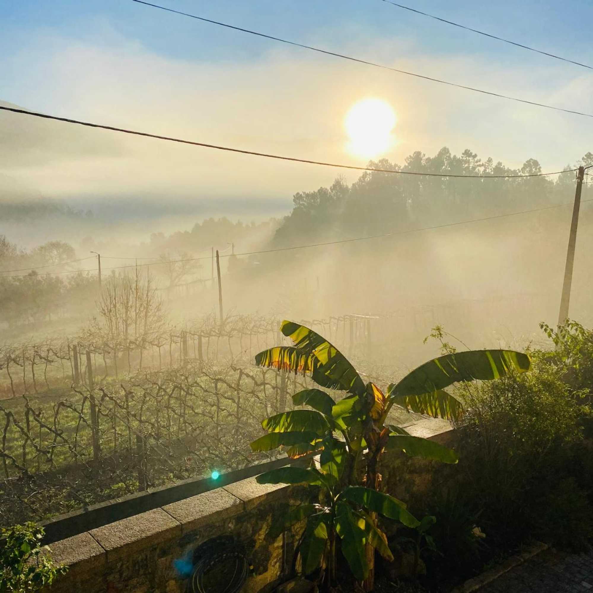 Gift card for Quinta Labruja