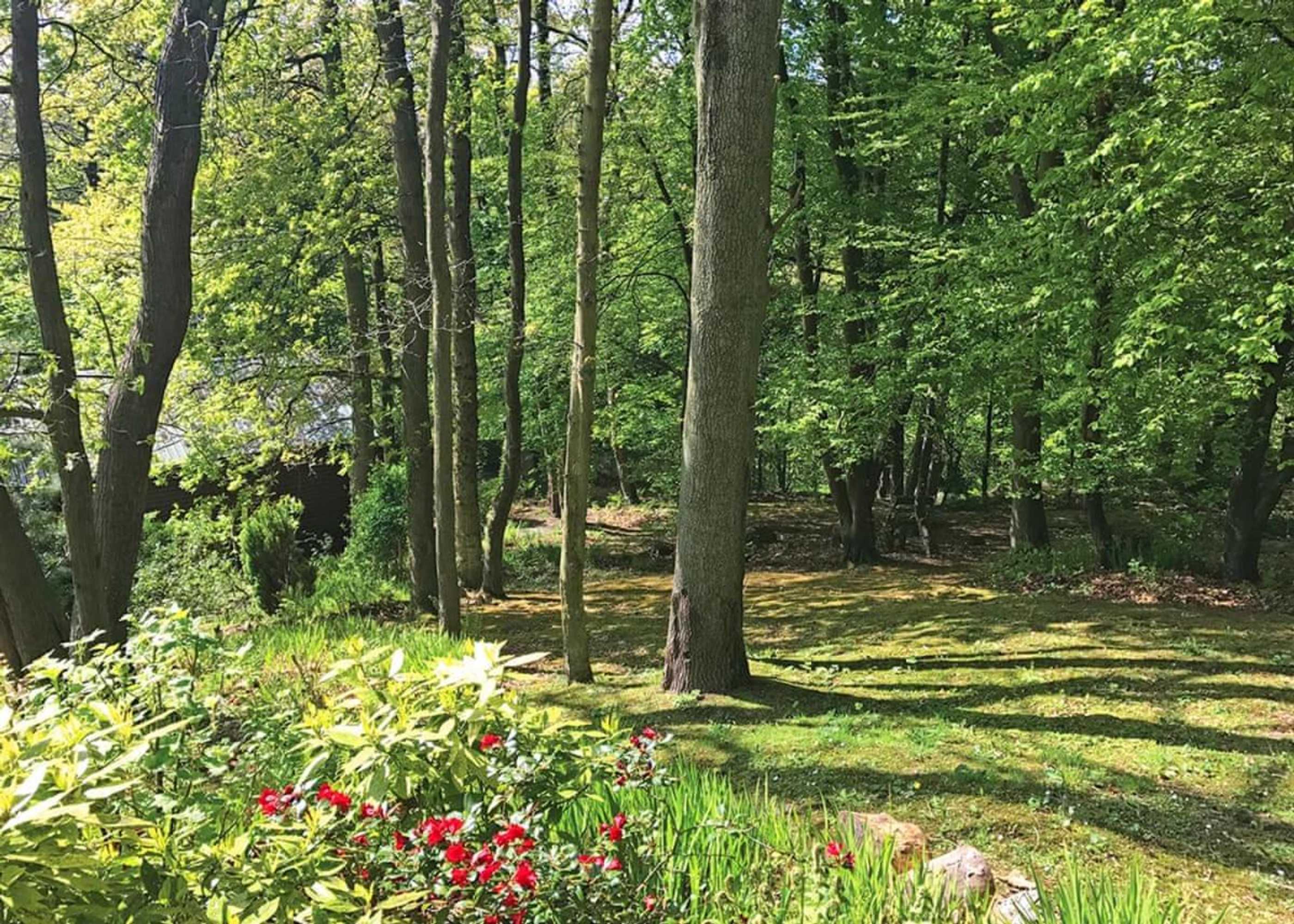 Gift card for Hideaway Lodges