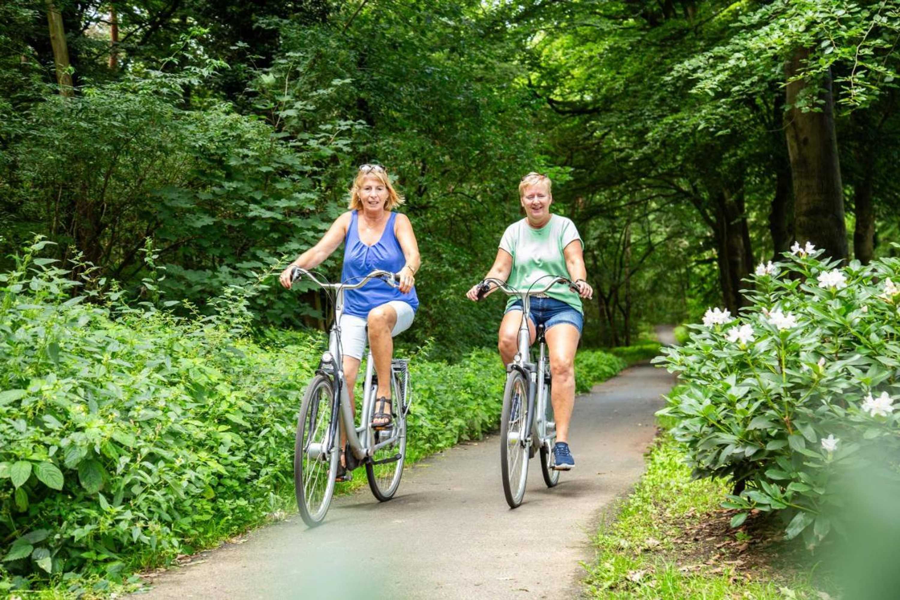 Gift card for Luxurious Villa in The Nature of De Veluwe