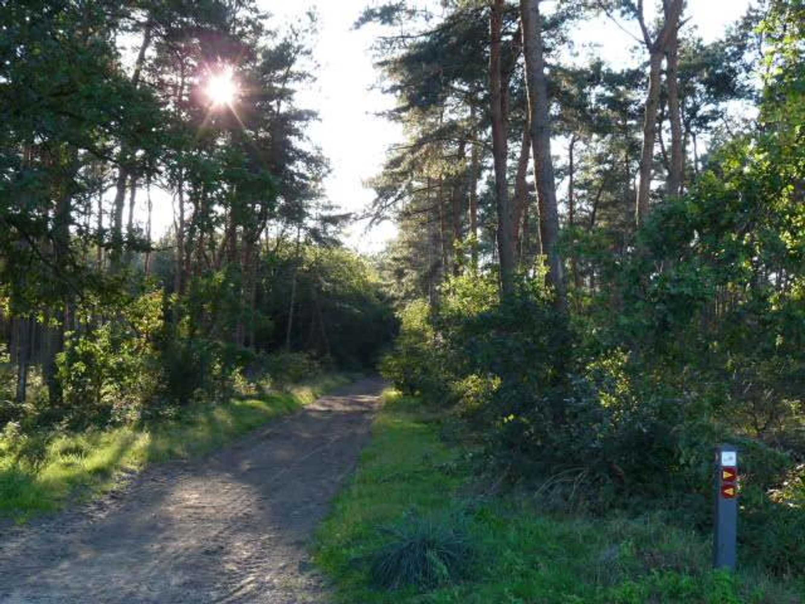 Gift card for De Steegberg Holiday Home