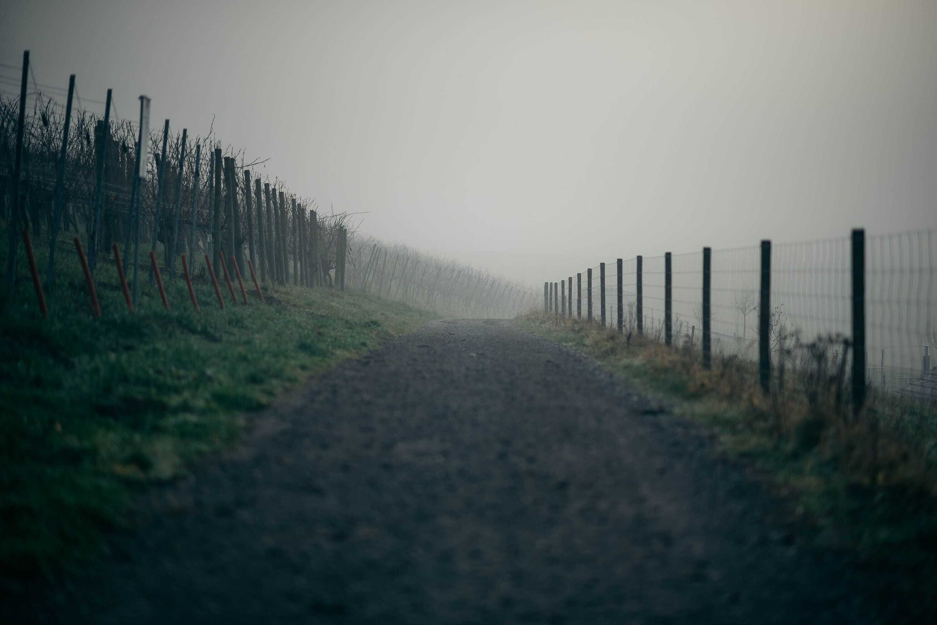 Gift card for Hirschen Stammheim