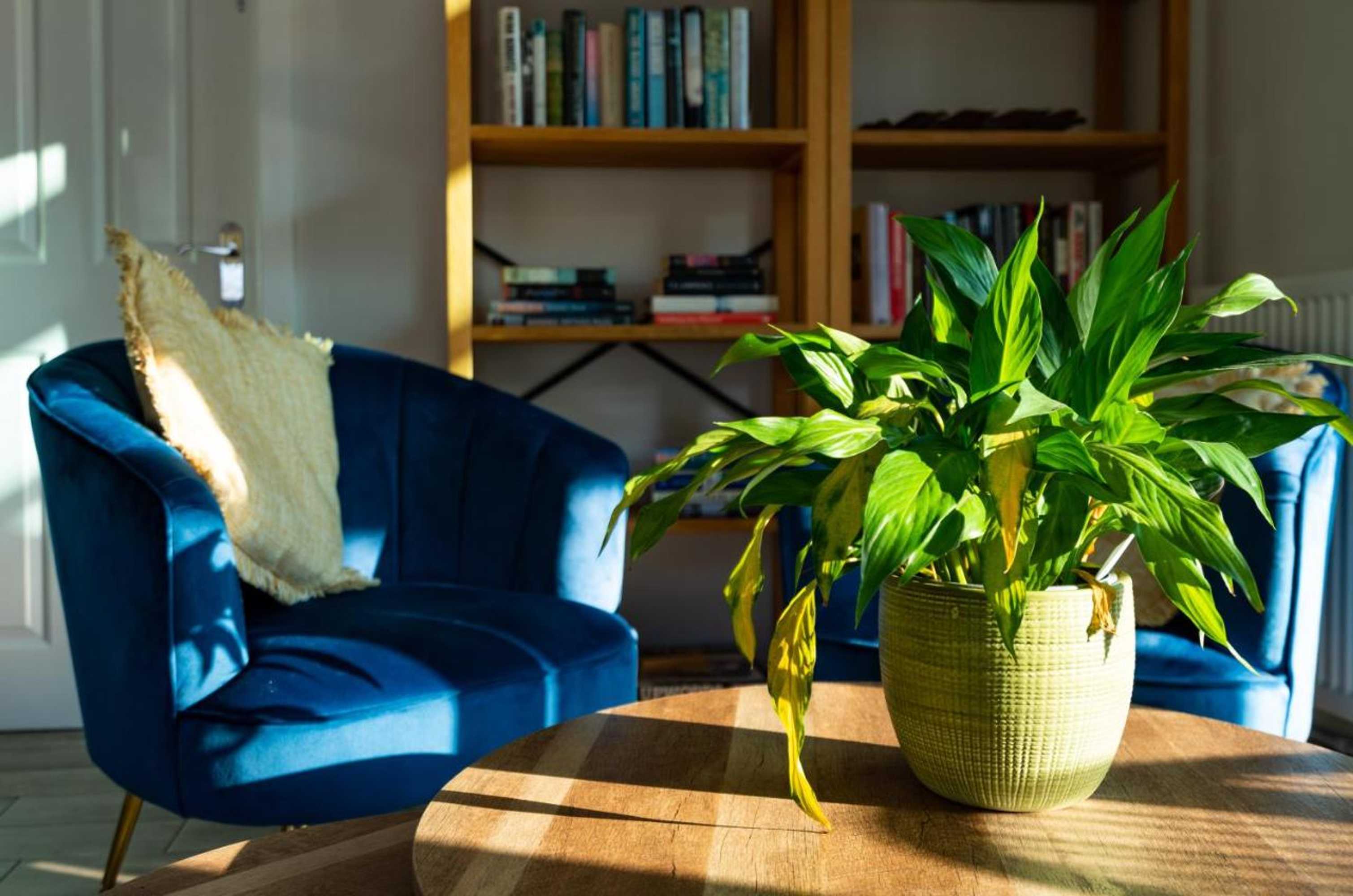 Gift card for Rivendell Resort