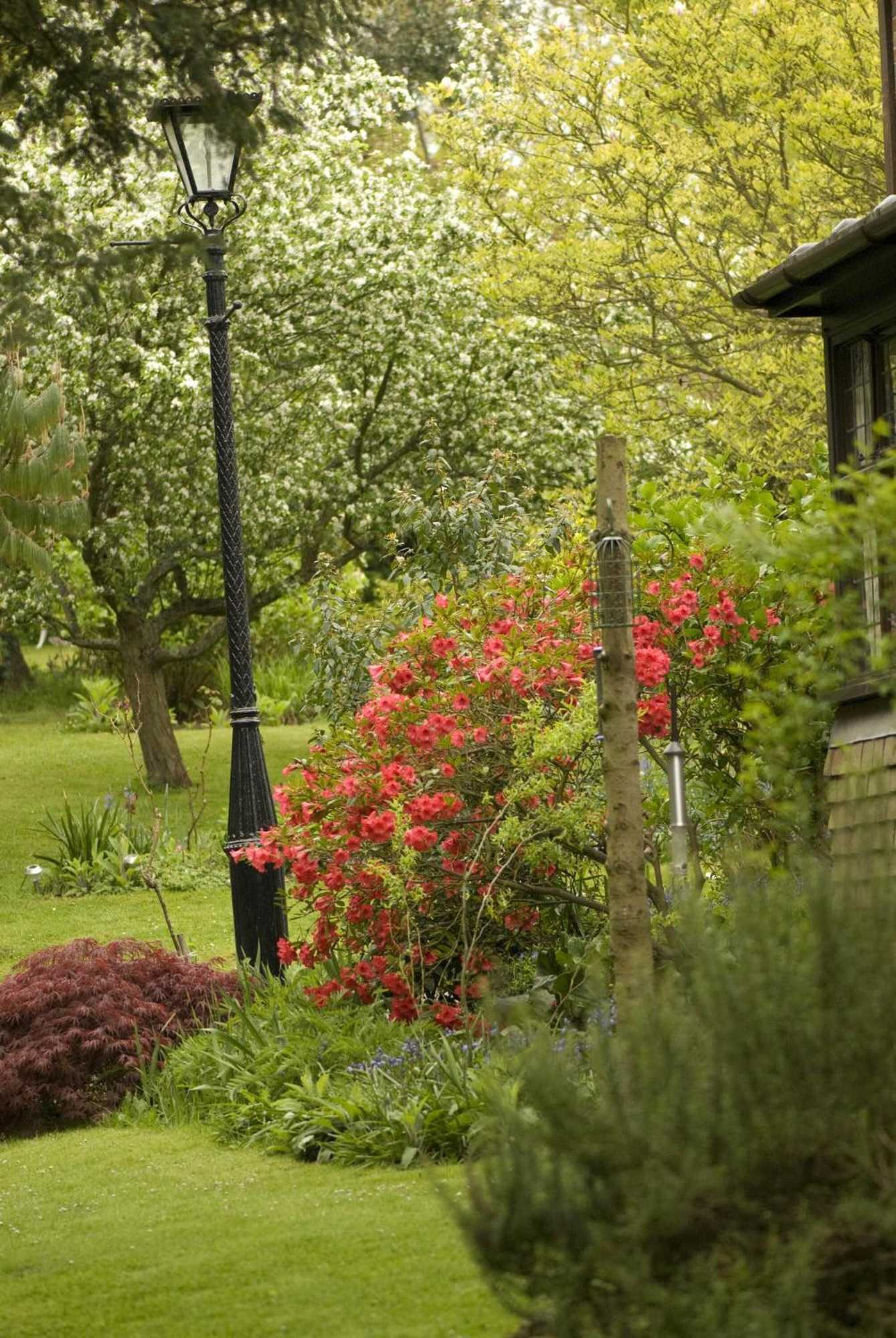 Gift card for Cleavers Lyng - Guest House Gift card for Cleavers Lyng - Guest House