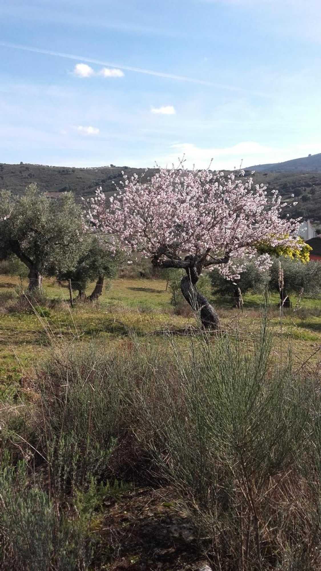 Gift card for Casa do Prado