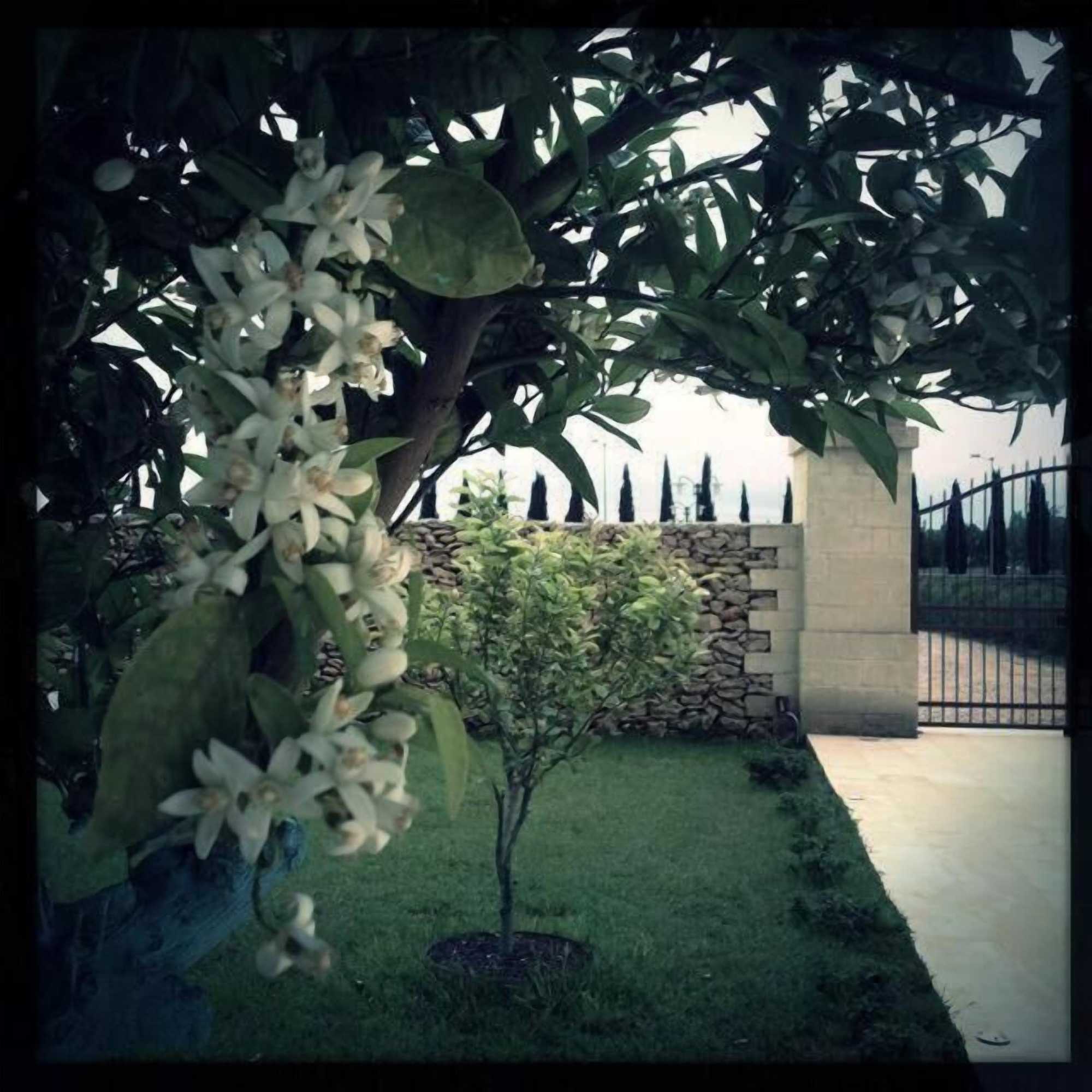 Gift card for Masseria San Polo Gift card for Masseria San Polo