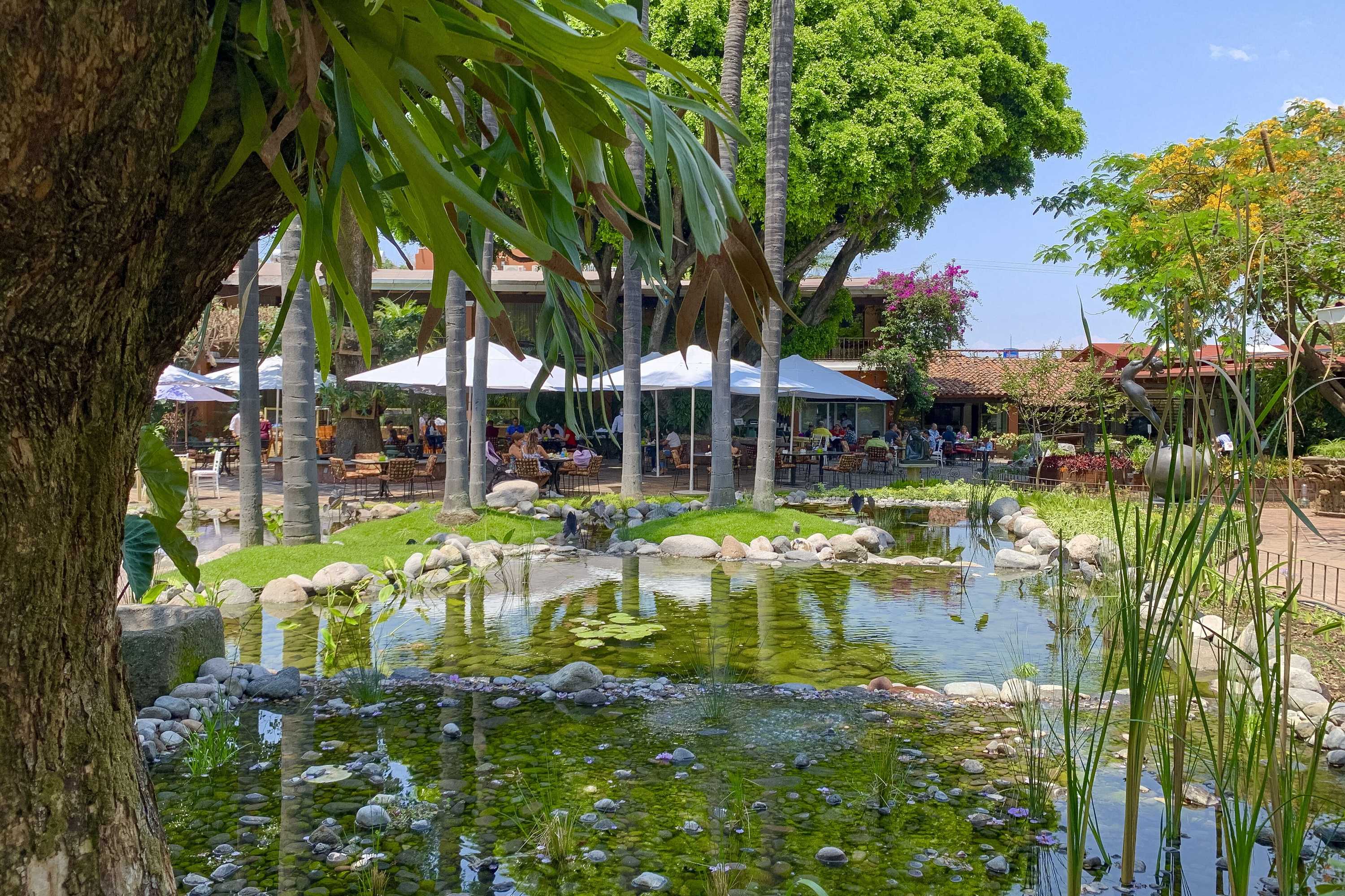 Gift card for Hosteria Las Quintas Hotel Restaurante Bar Gift card for Hosteria Las Quintas Hotel Restaurante Bar