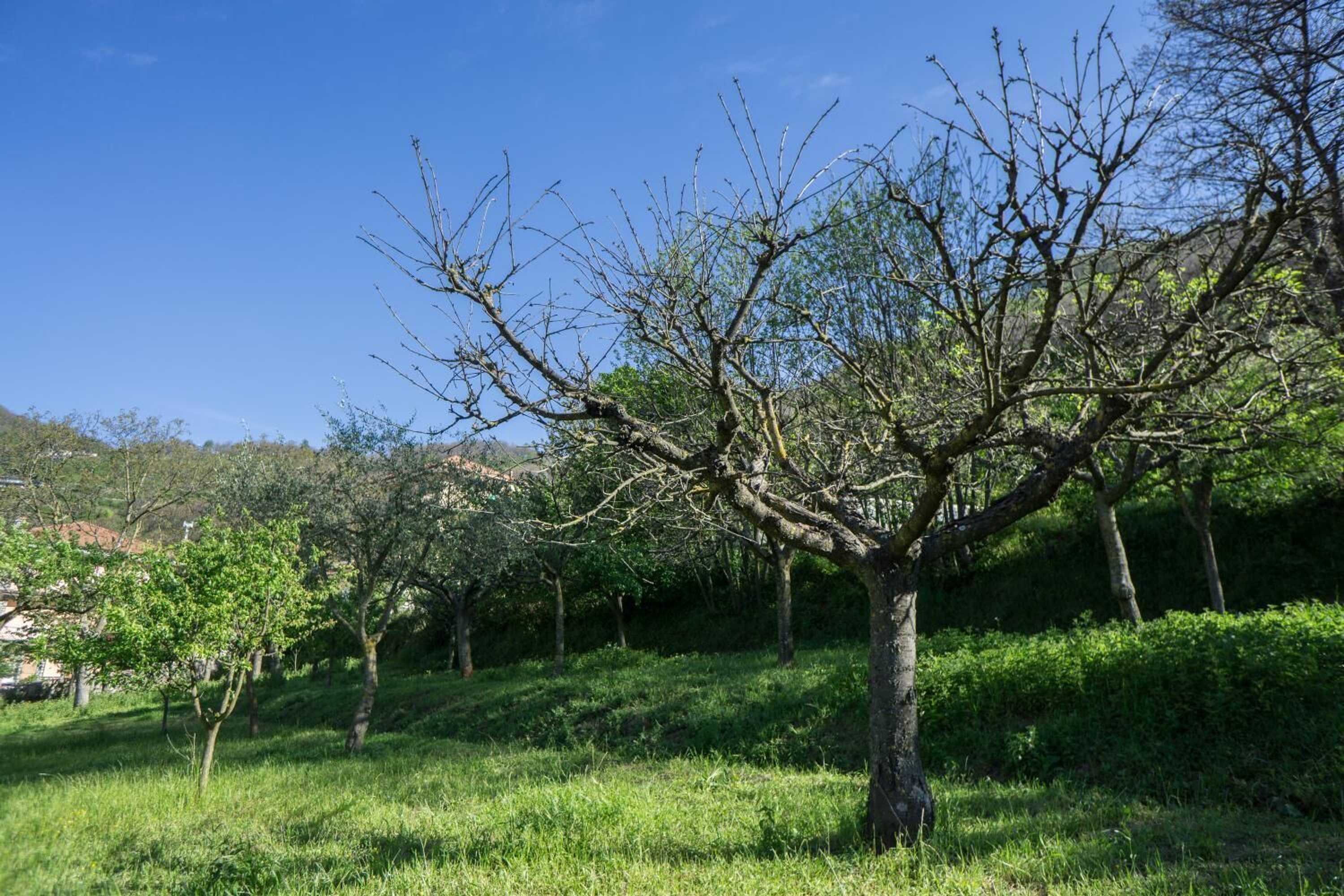 Gift card for Agriturismo Il Tintore Gift card for Agriturismo Il Tintore