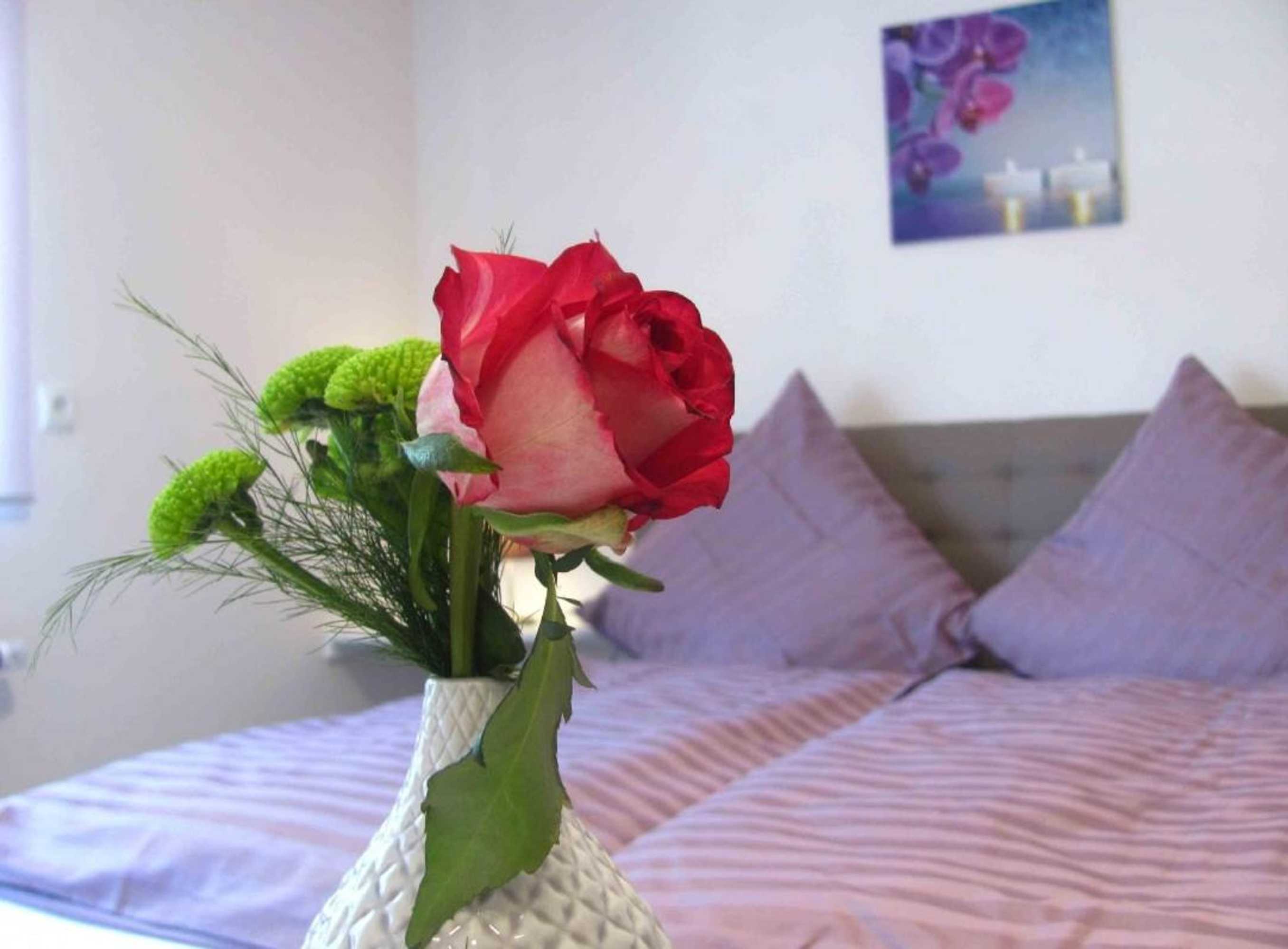 Gift card for Pension Zum Schloss