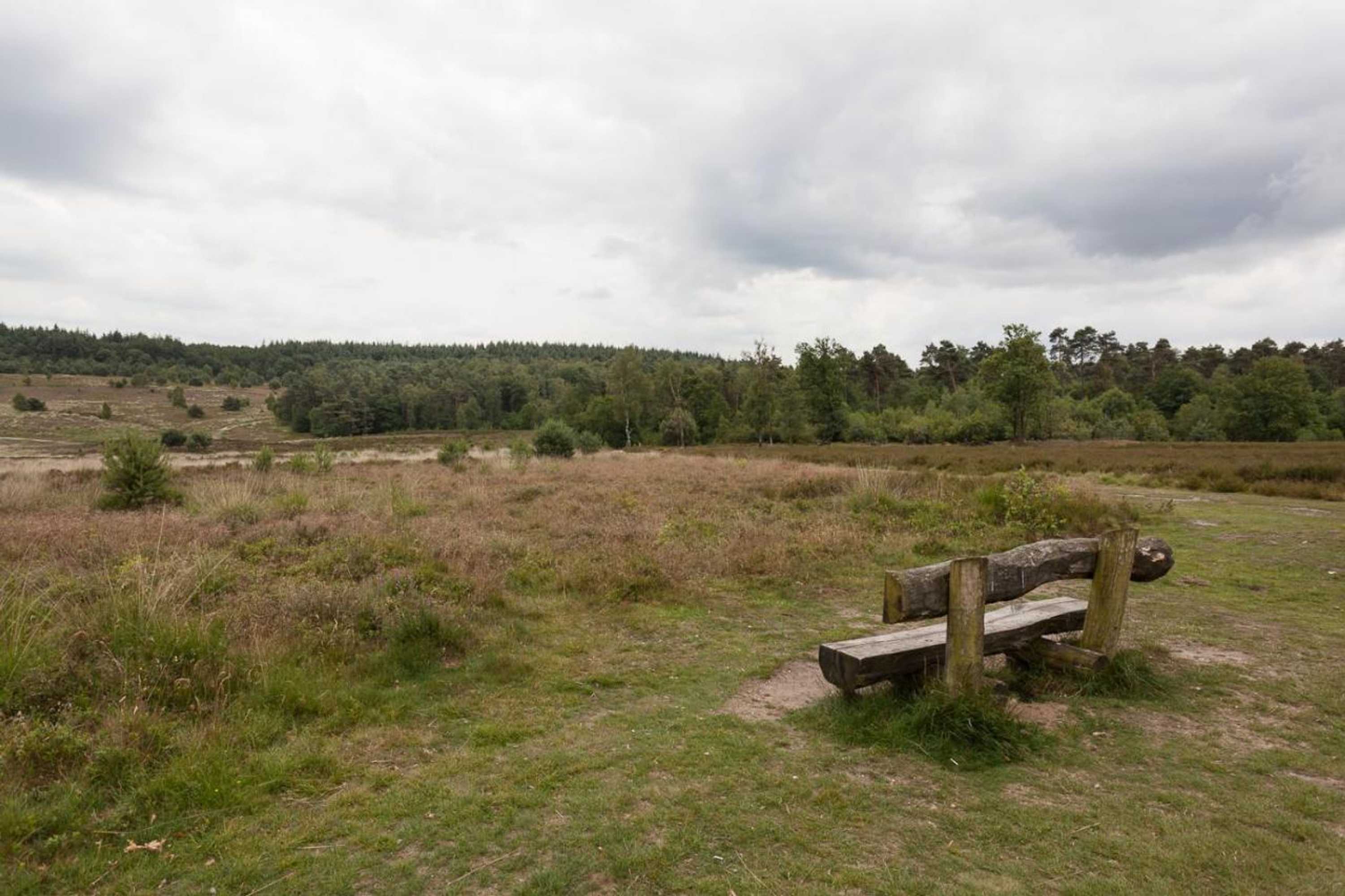 Gift card for Chalet Hoenderloo Beuk