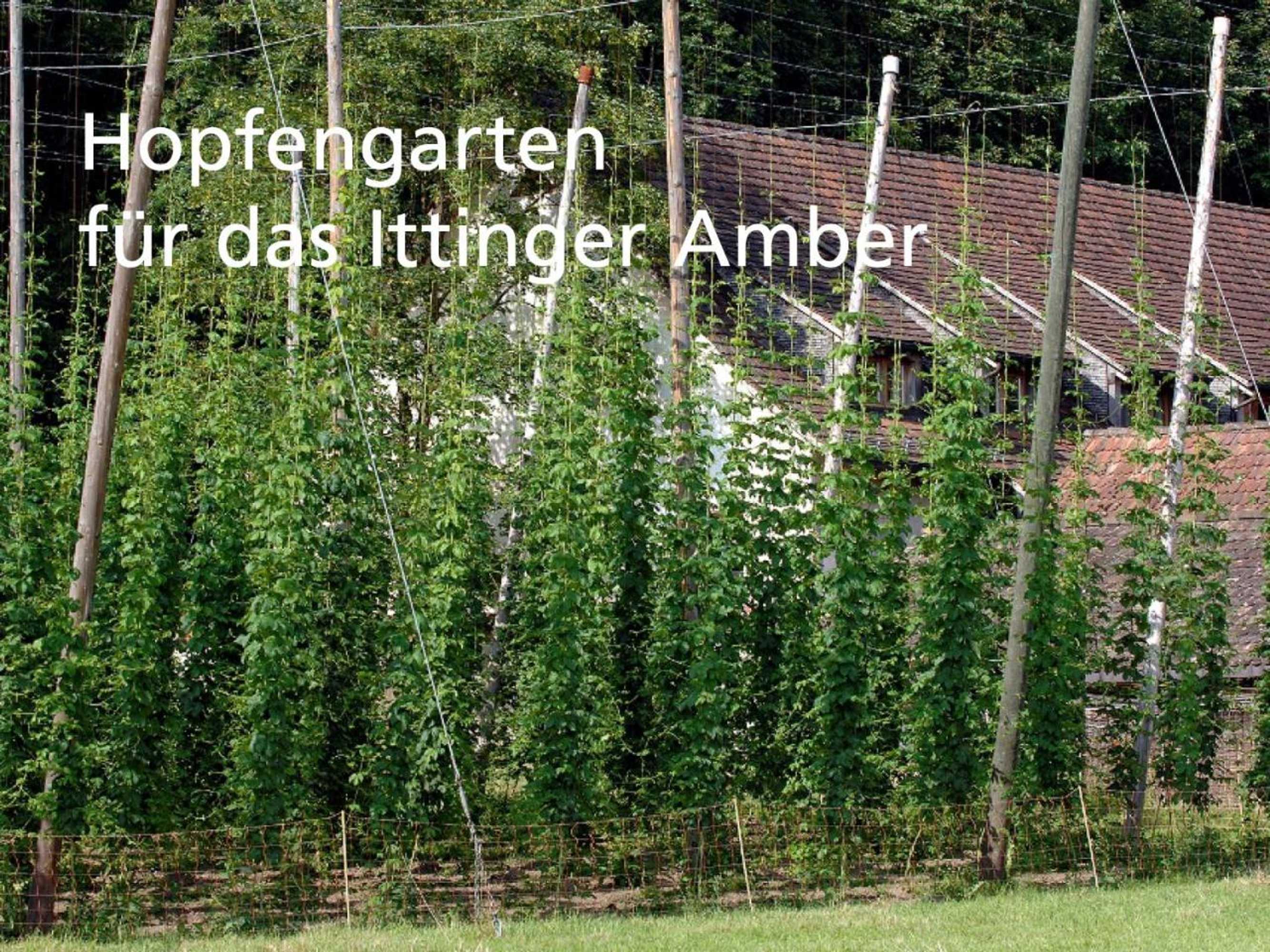 Gift card for Stiftung Kartause Ittingen