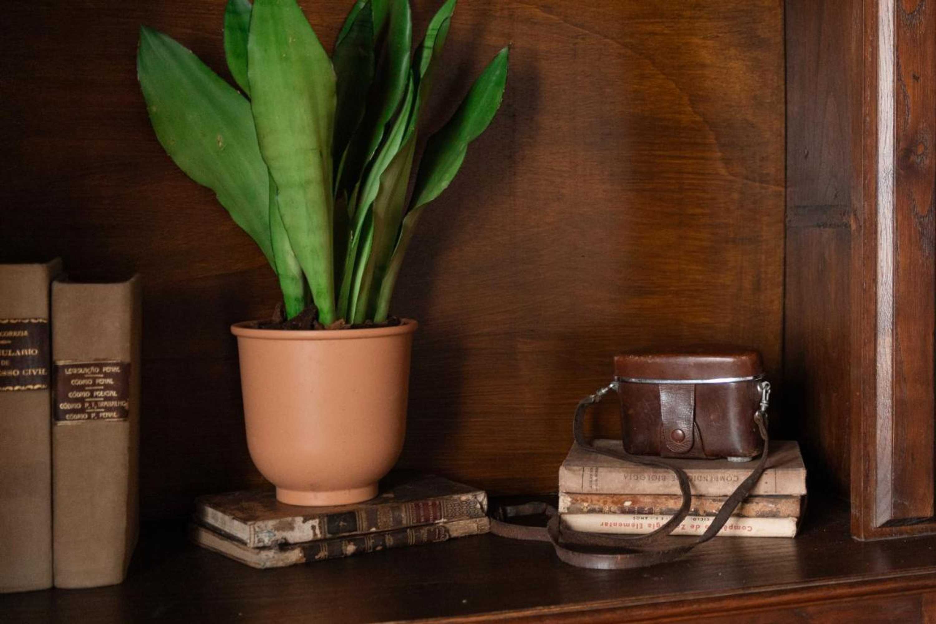 Gift card for Casa Da Avo Genoveva Gift card for Casa Da Avo Genoveva