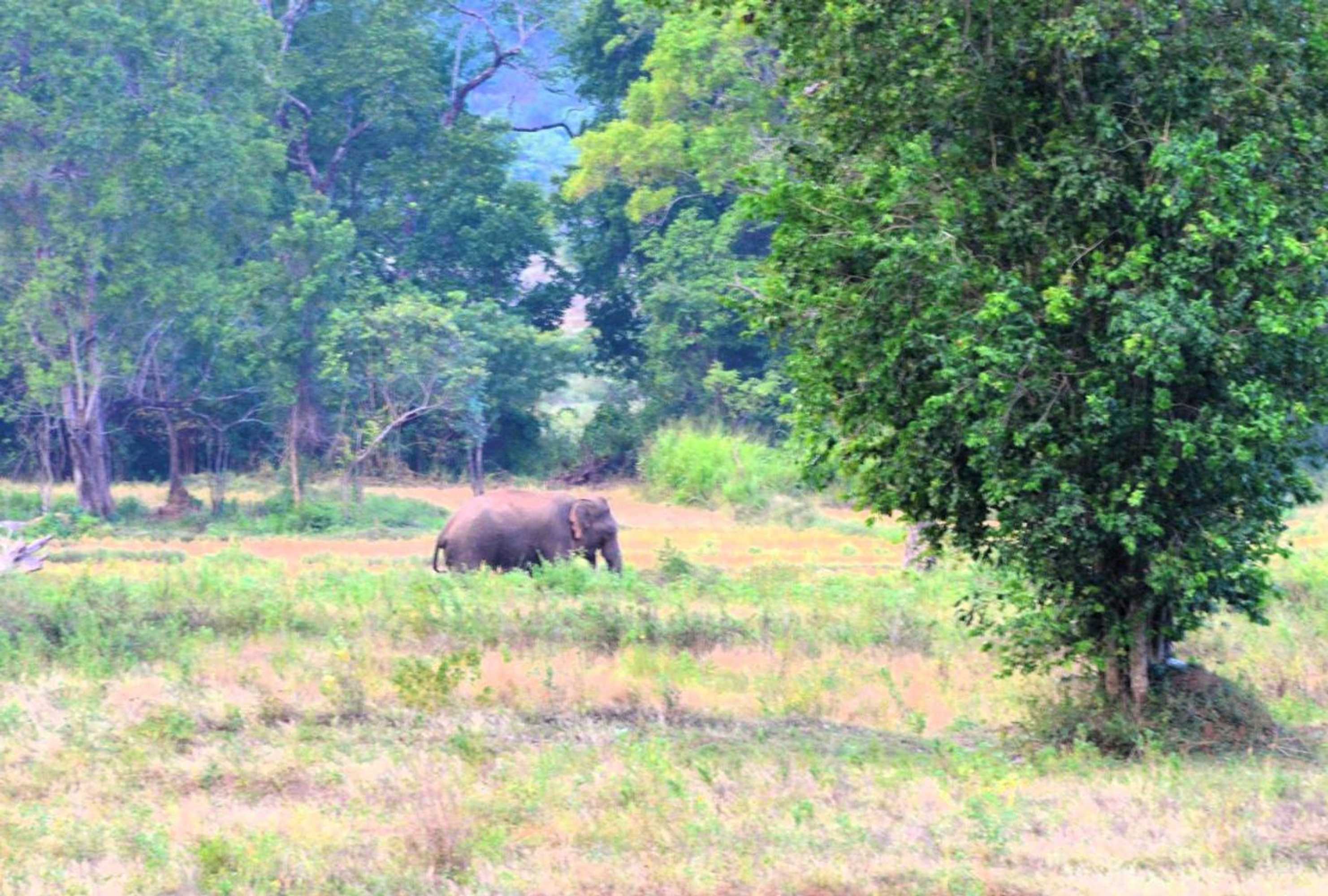 Gift card for Grand Okka Hotel