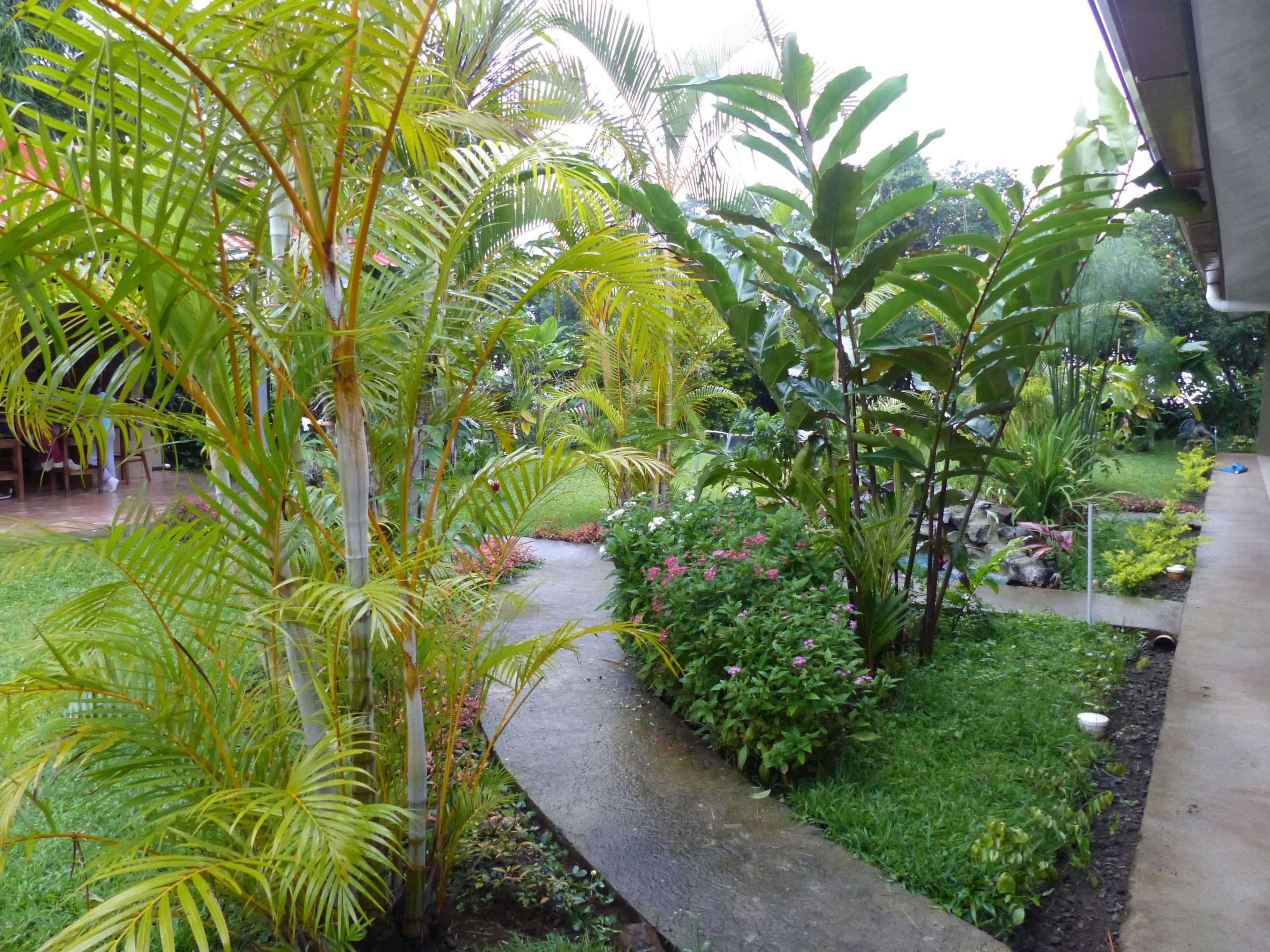 Gift card for Hotel B&b Garden Grecia