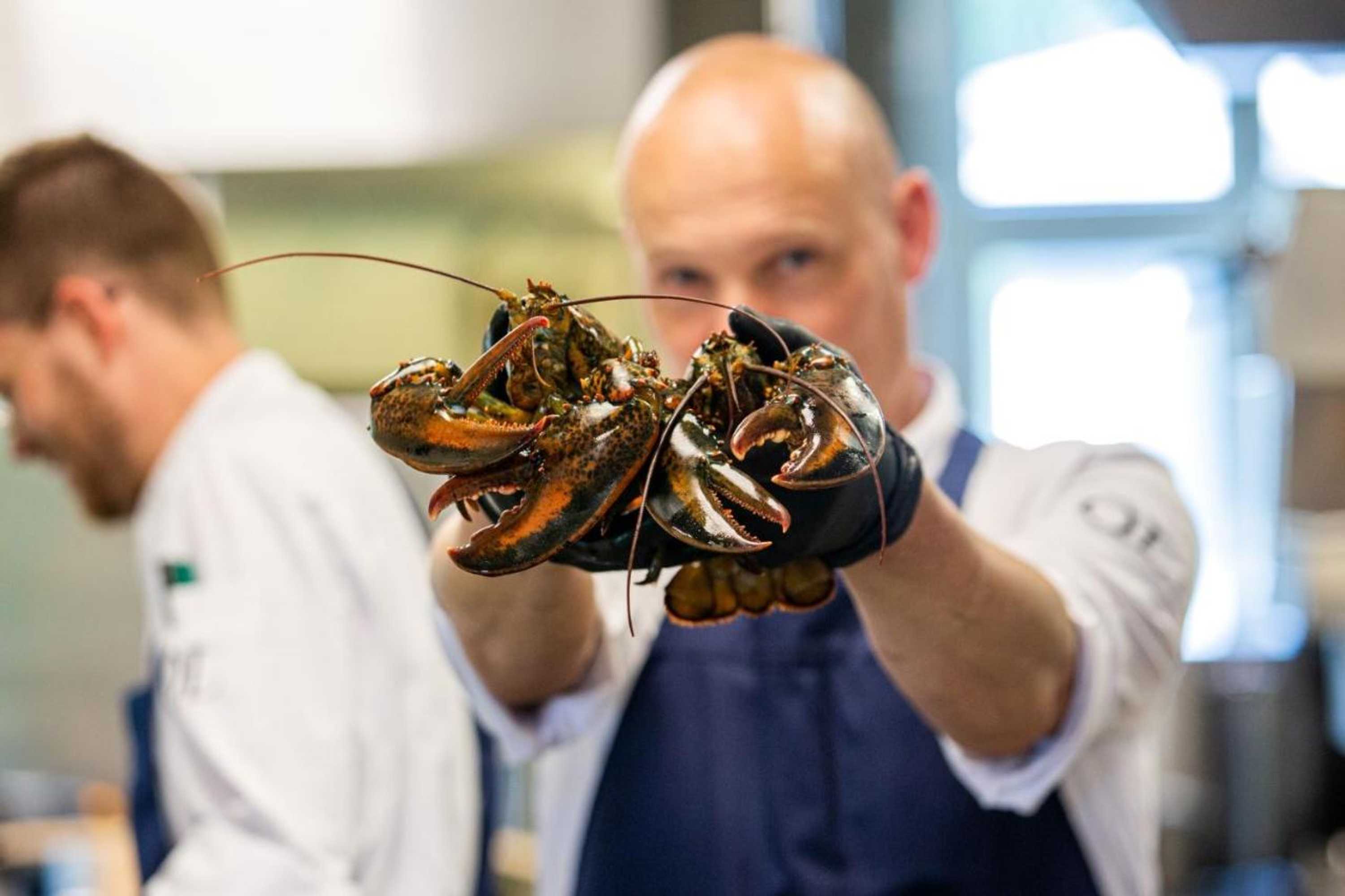 Gift card for Kasteeltje Hattem