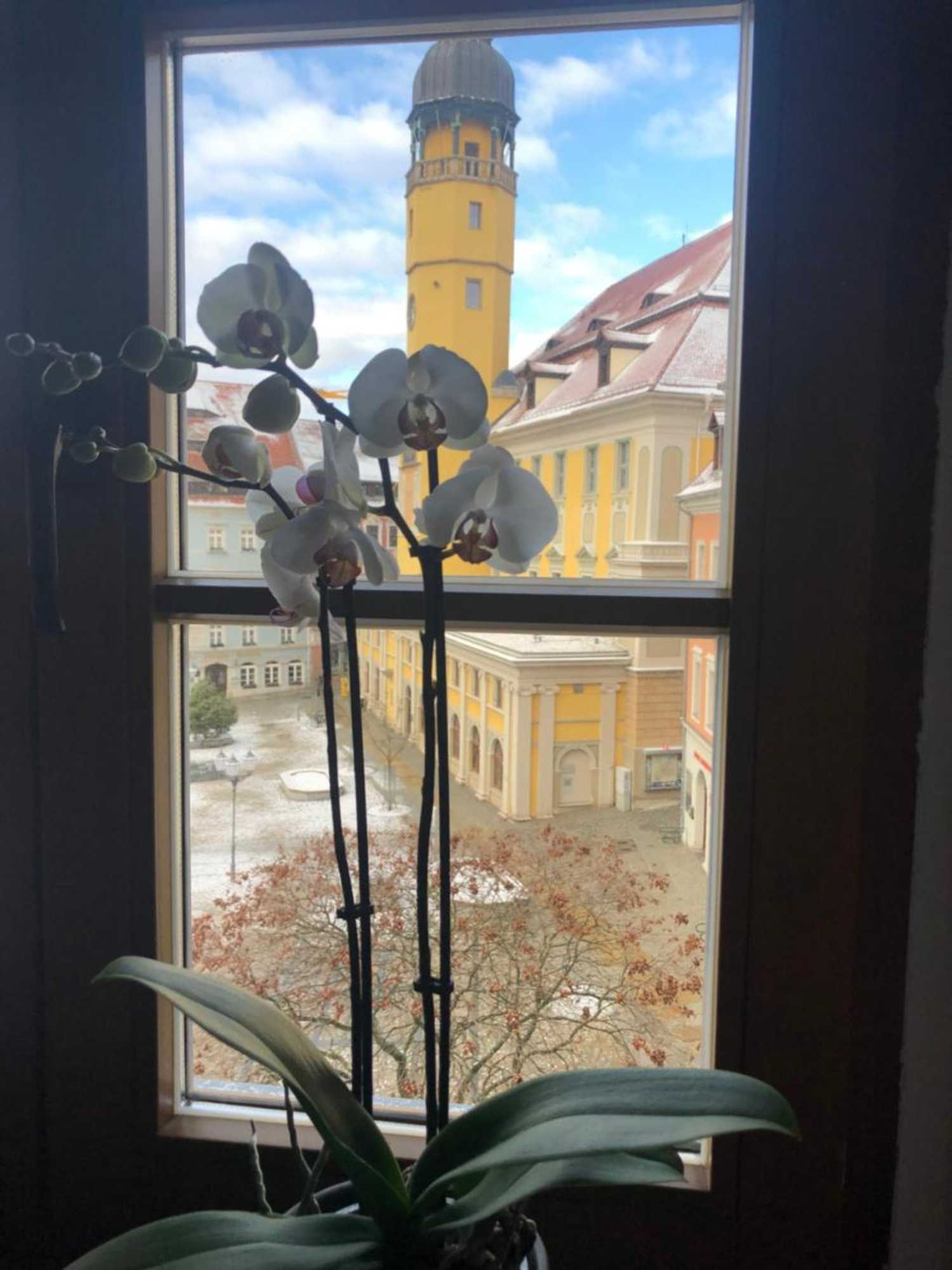 Gift card for Zum Handtuch