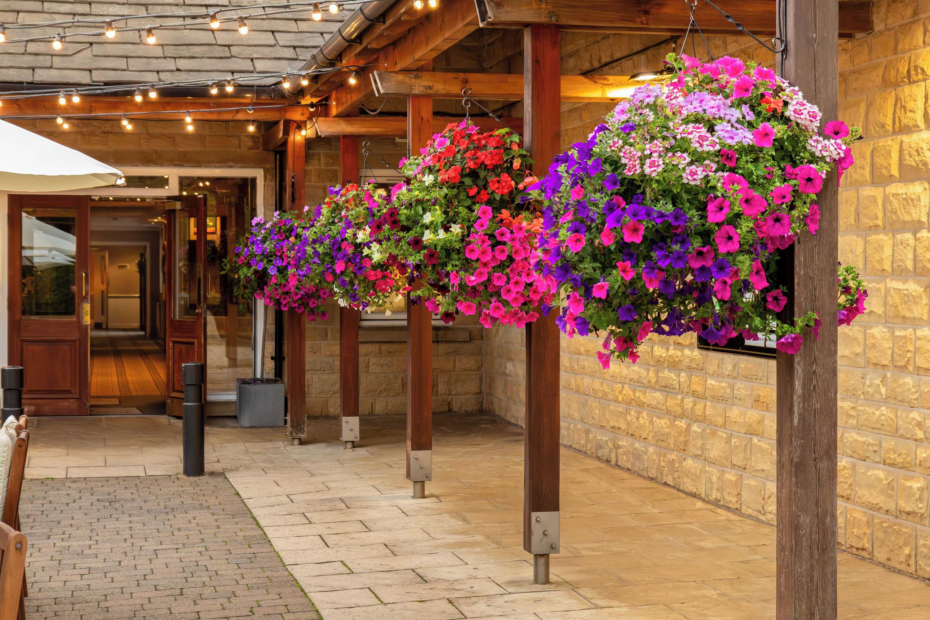 Gift card for Hollins Hall Hotel, Spa & Golf