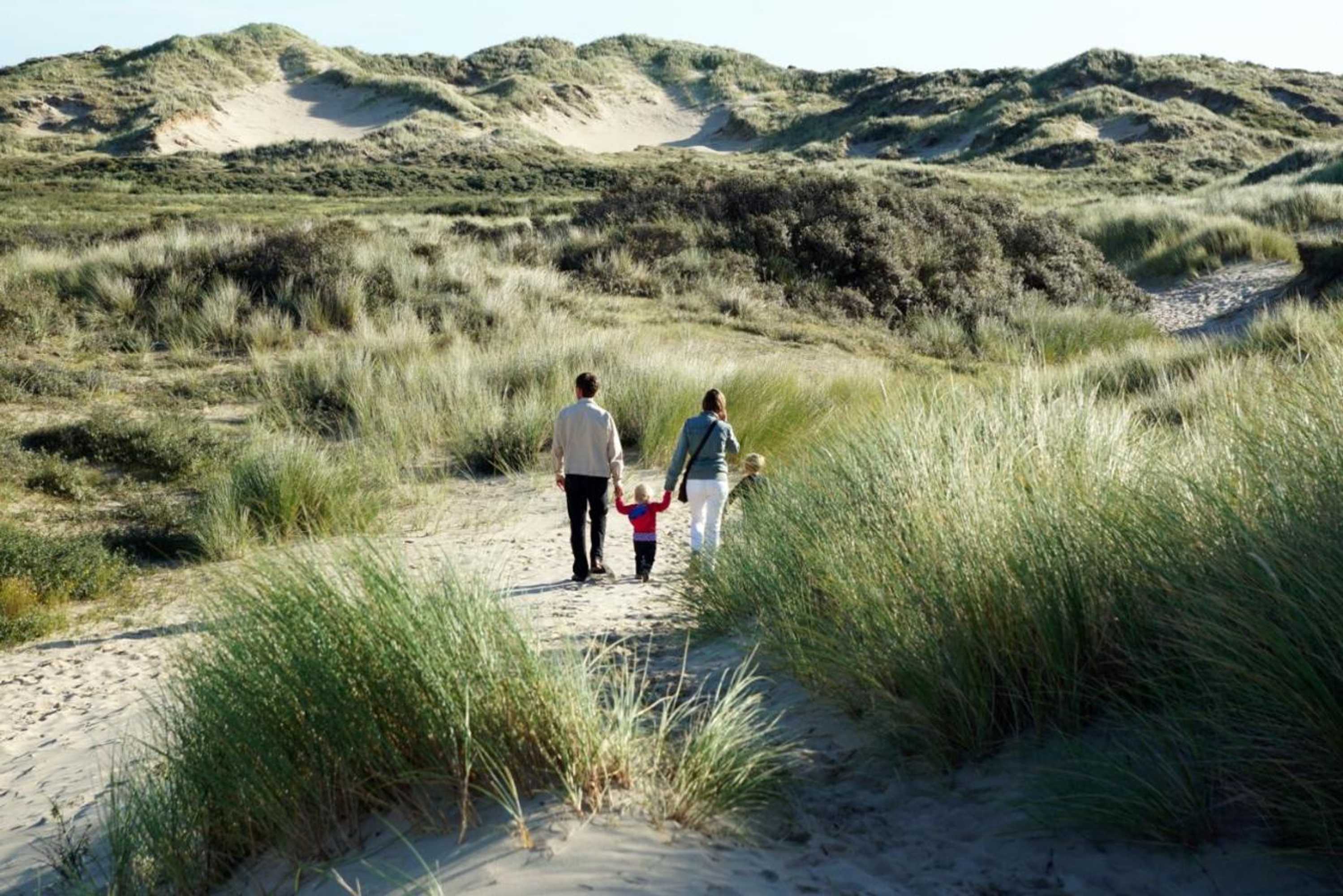 Gift card for Bungalow 6p